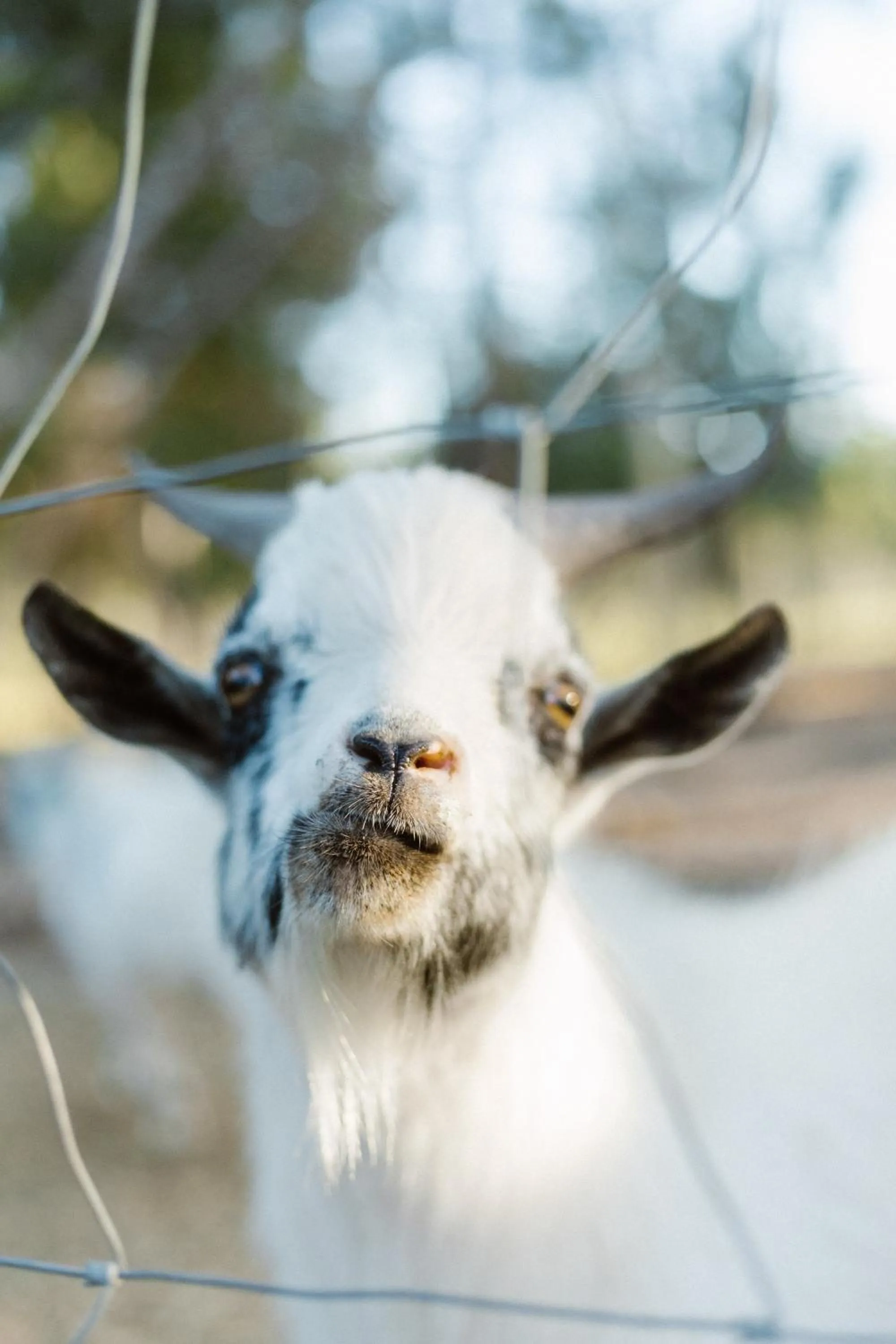 Craveiral Farmhouse by Belong Staying & Feeling