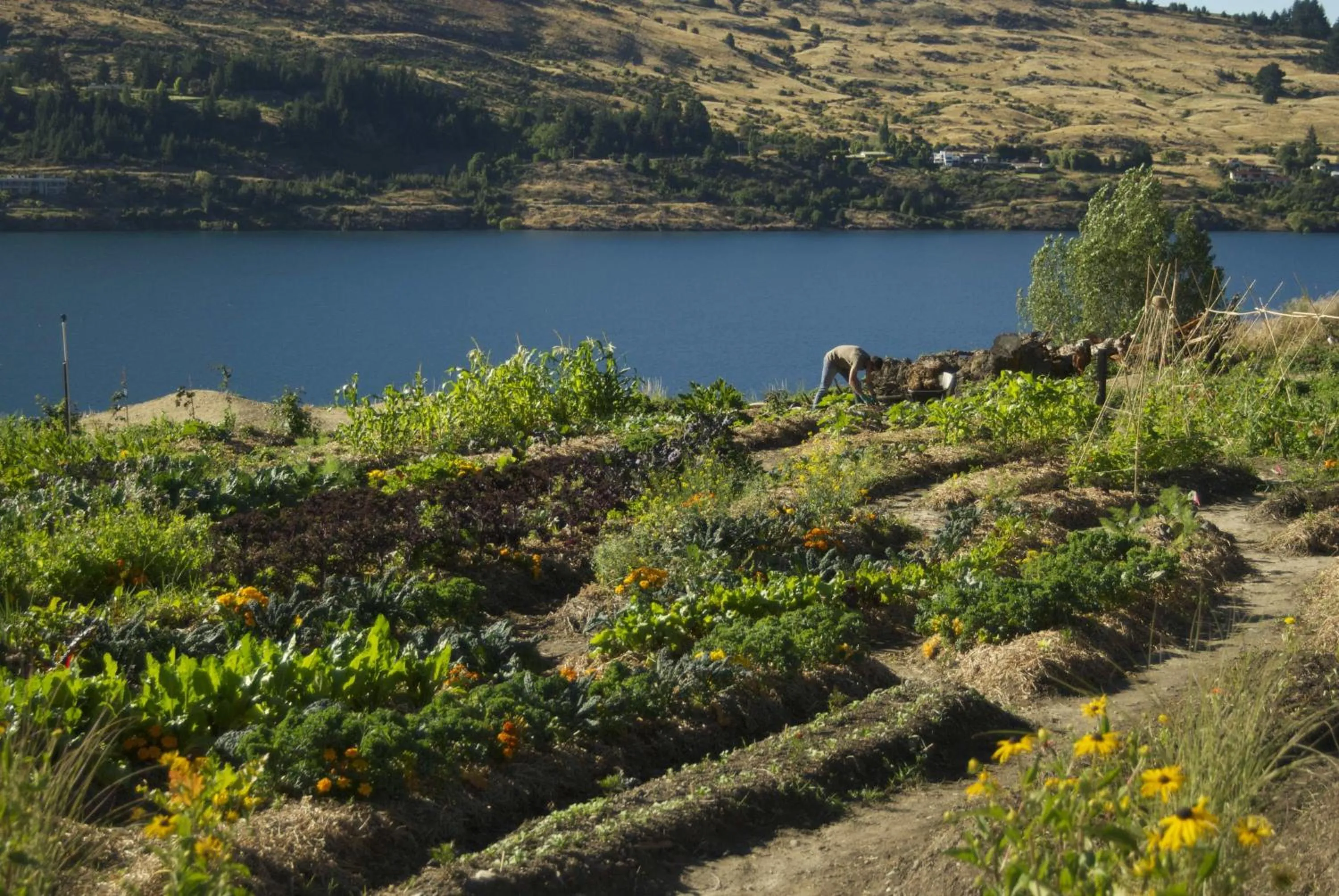 Garden in Sherwood Queenstown