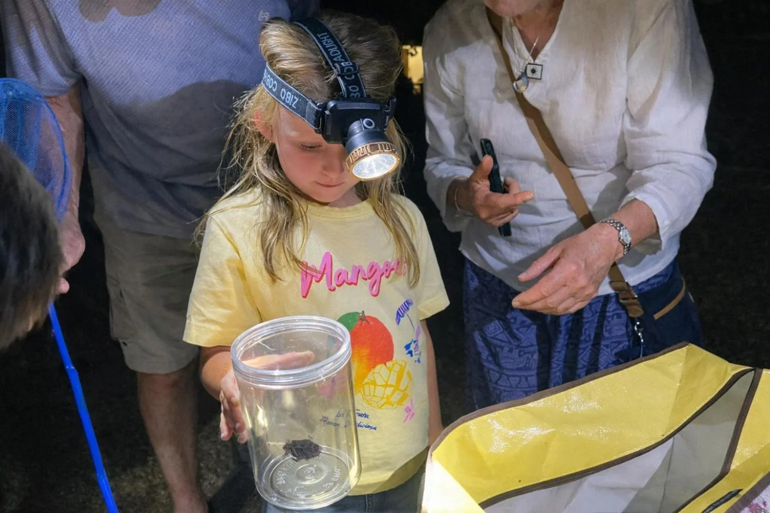 Activities in Frangipani Langkawi Resort