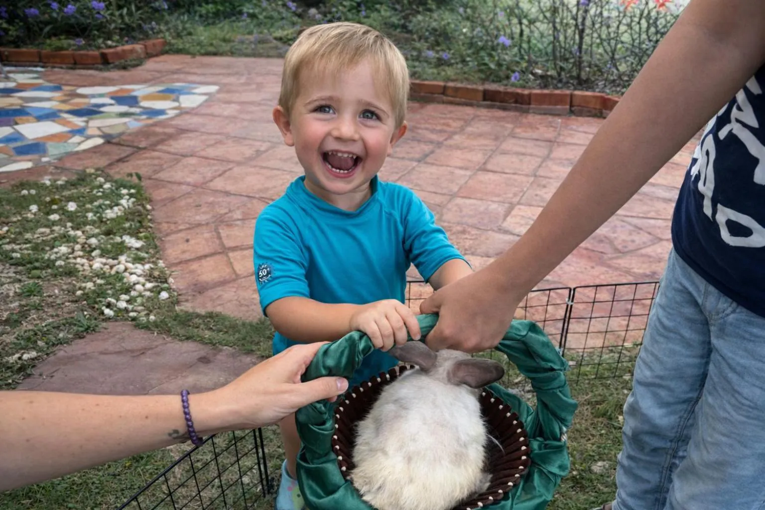 Activities in Frangipani Langkawi Resort