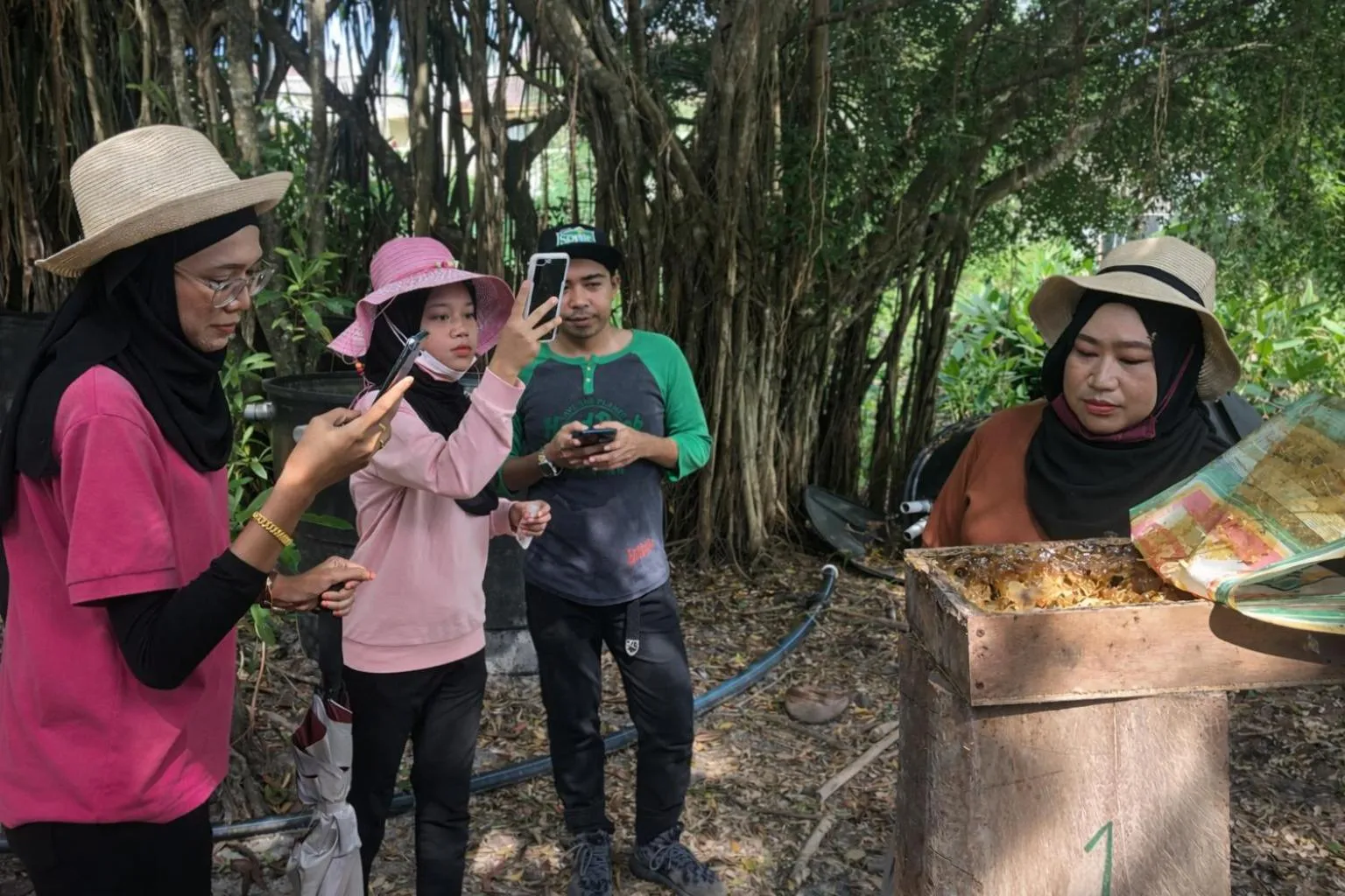 Activities in Frangipani Langkawi Resort