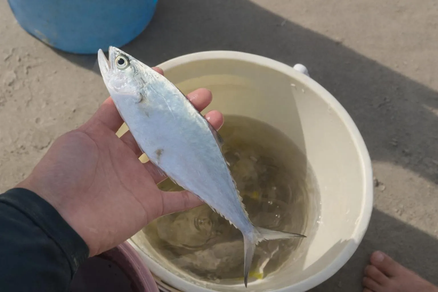 Activities in Frangipani Langkawi Resort