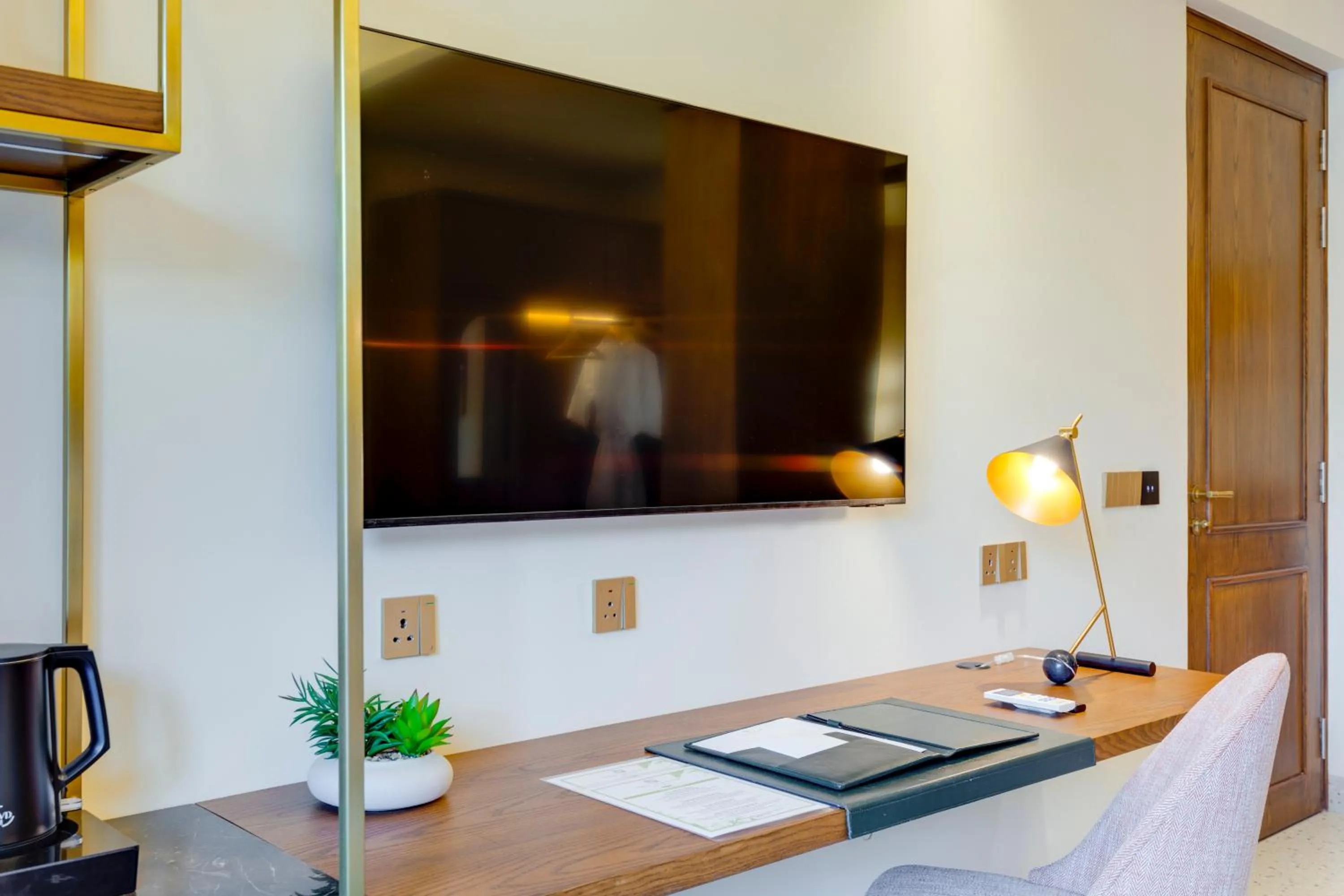 TV and multimedia in The Manor - New Delhi