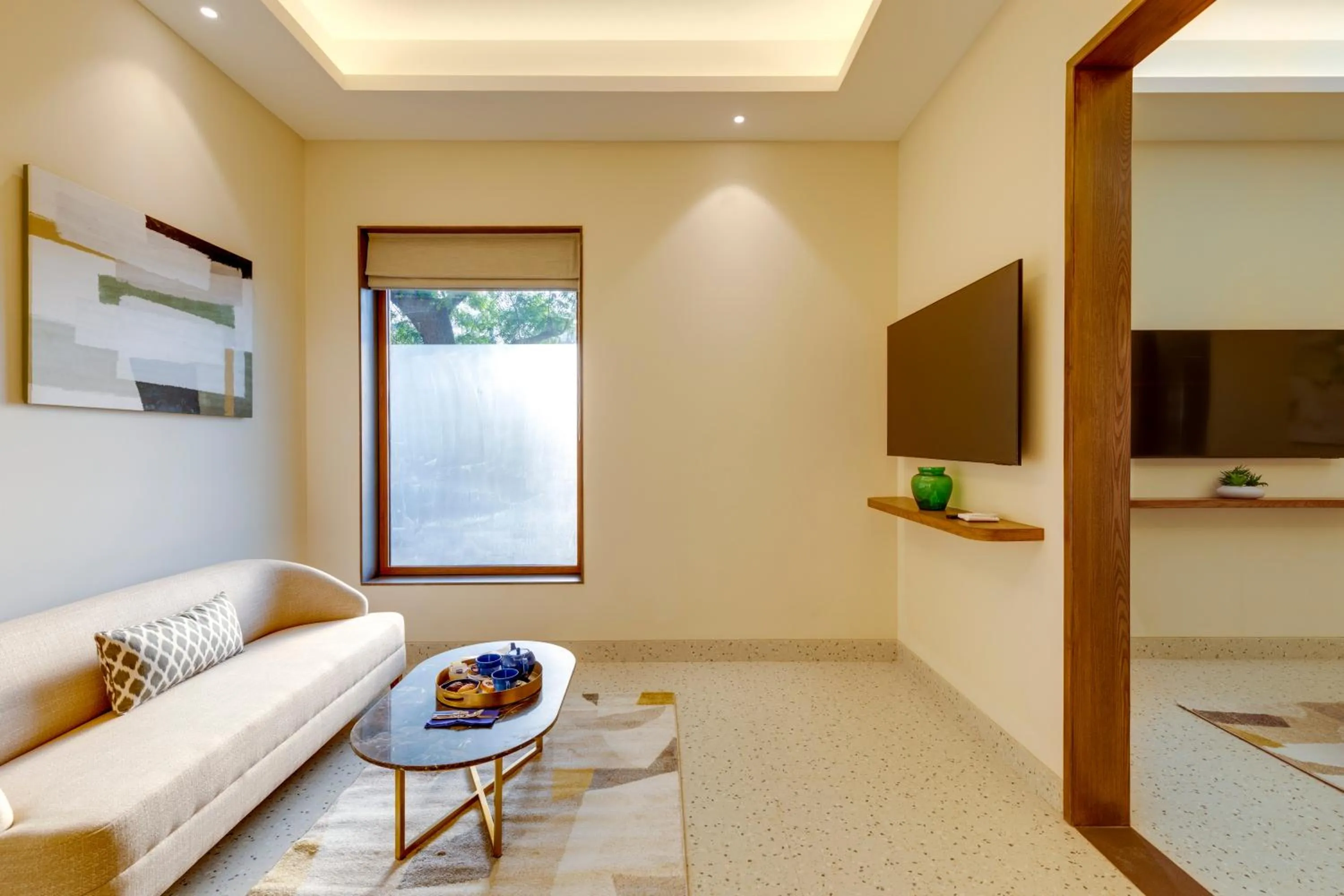 TV and multimedia in The Manor - New Delhi