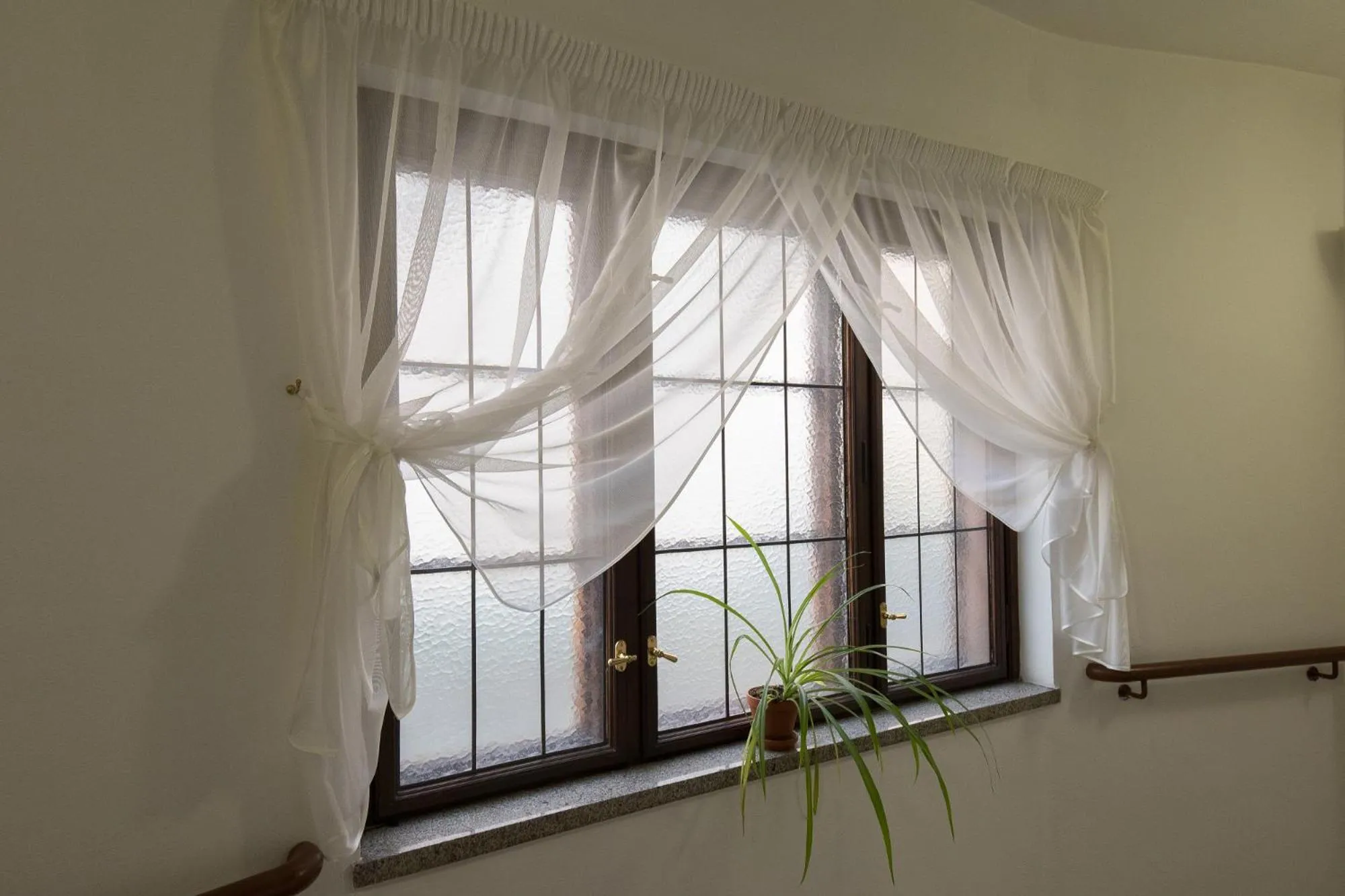 Property building in Hotel U Černého orla