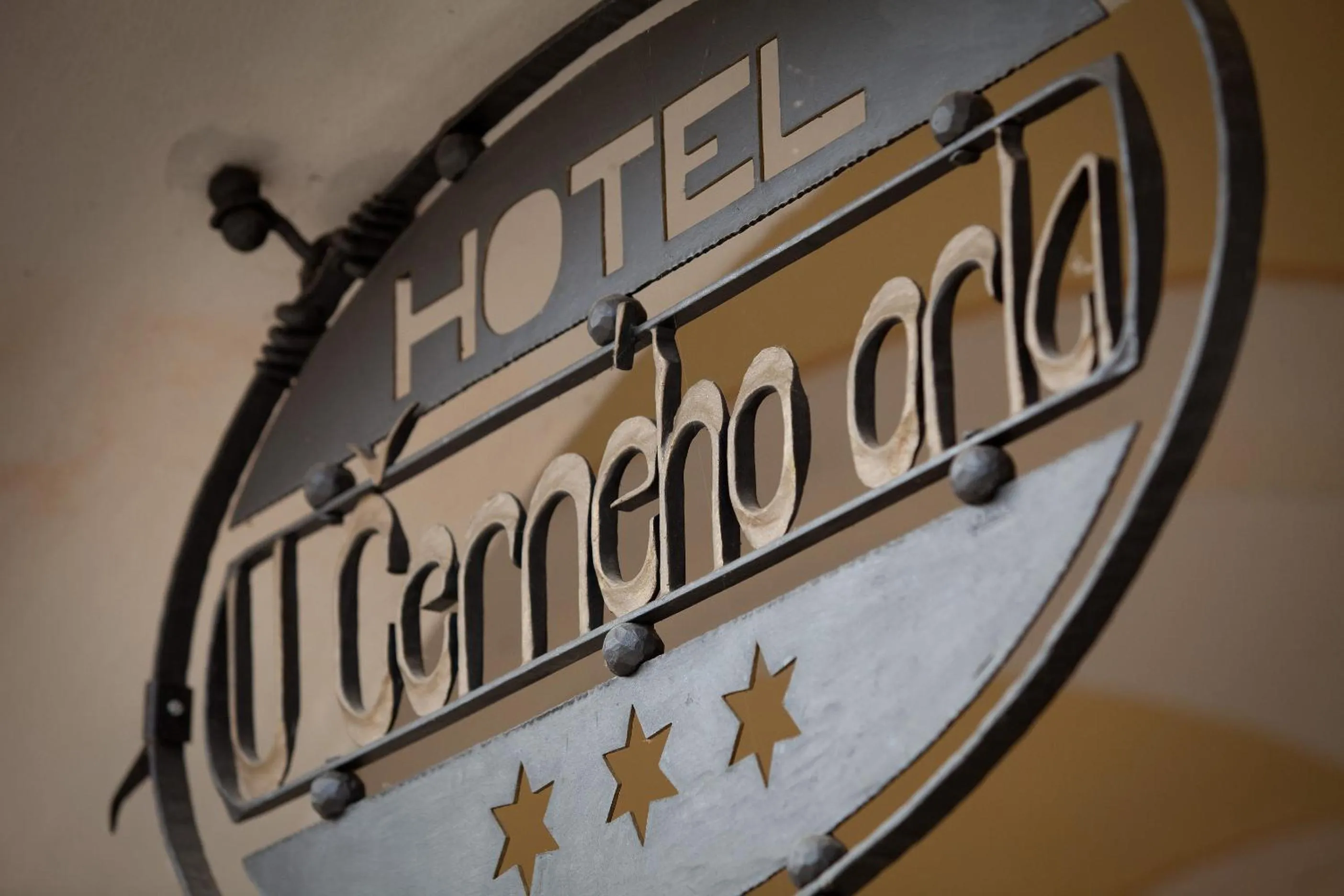 Other in Hotel U Černého orla