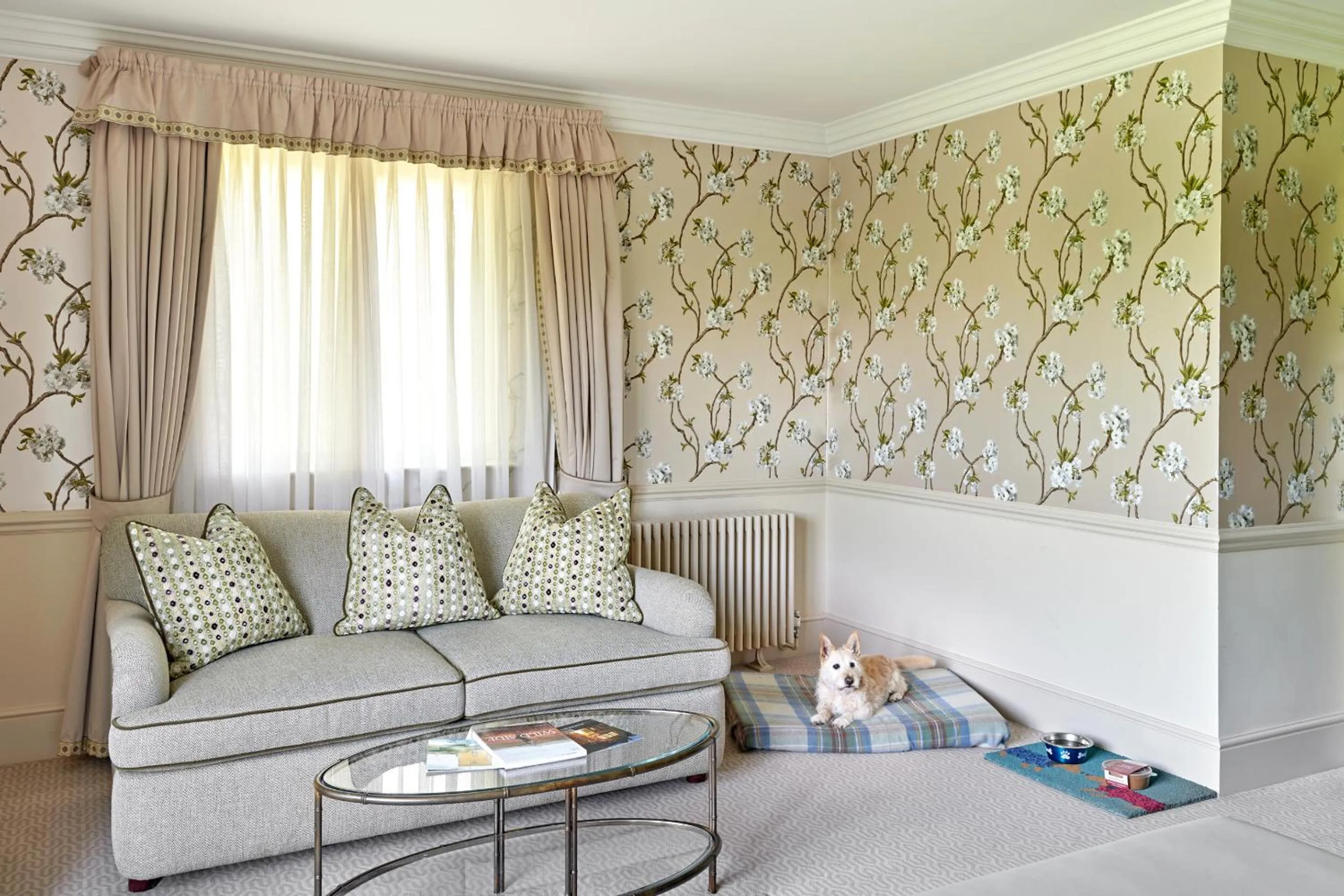 Pets in Ellenborough Park