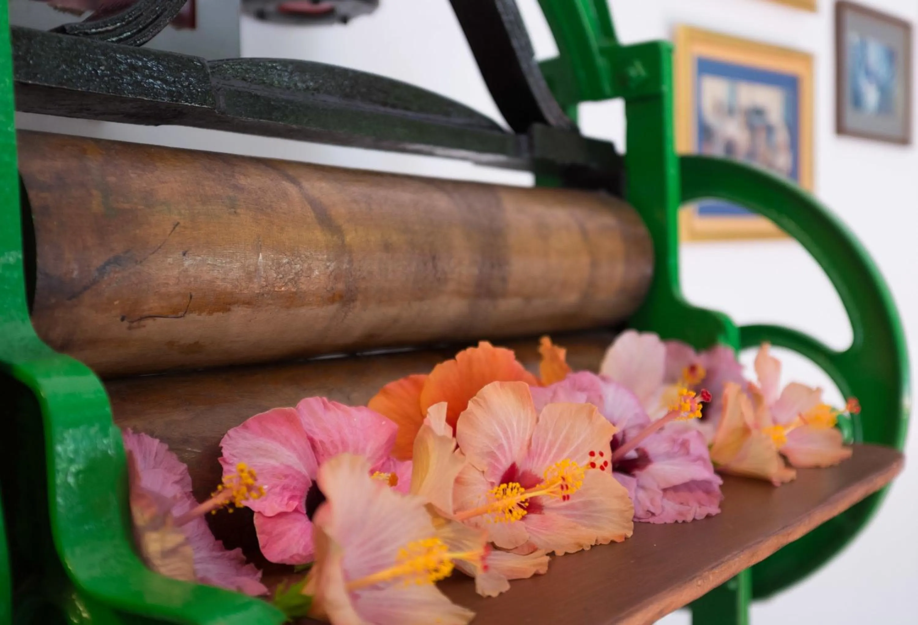 Other in Hotel Monopol