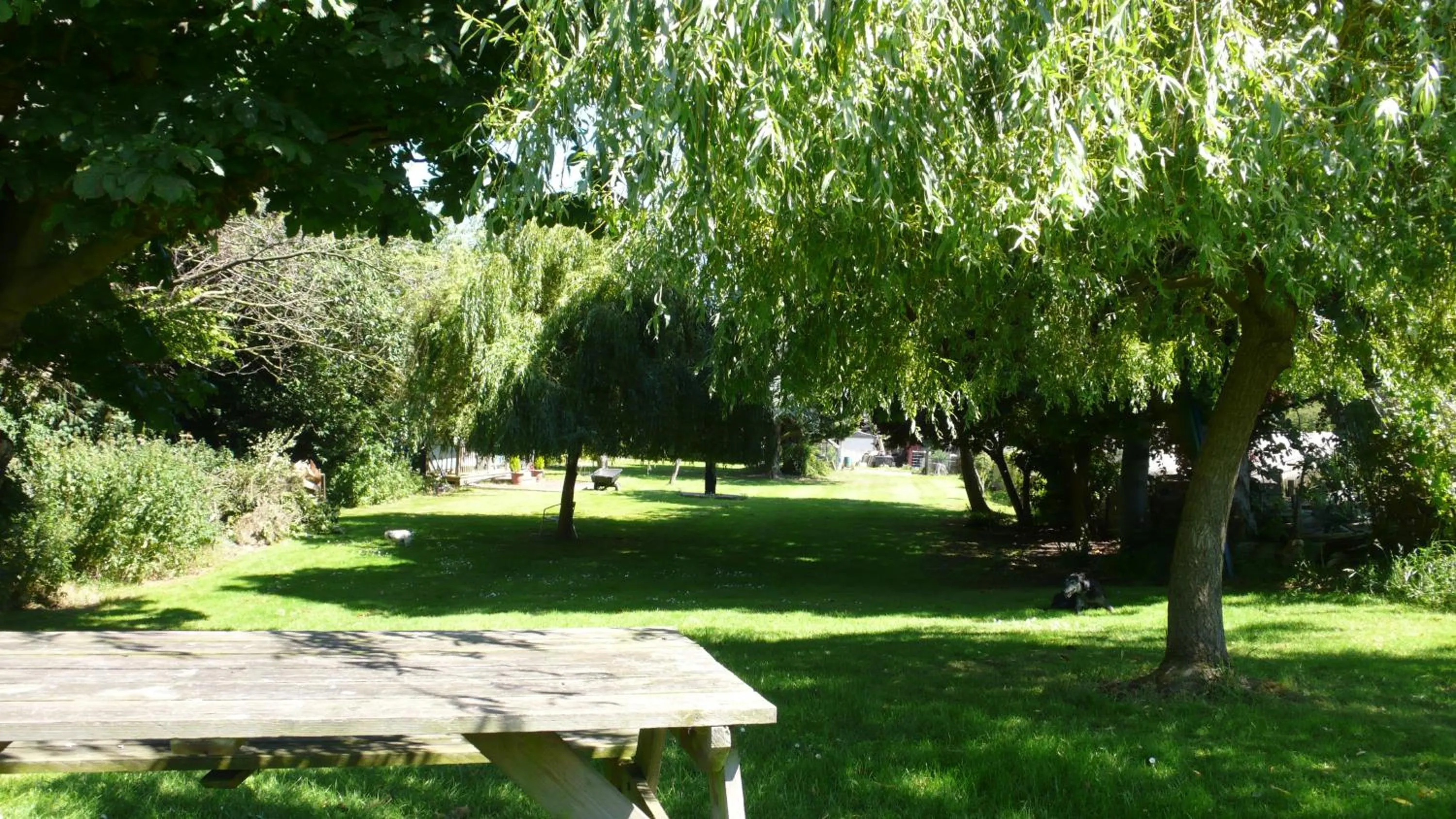 Garden in Acorn Guest House in Hull