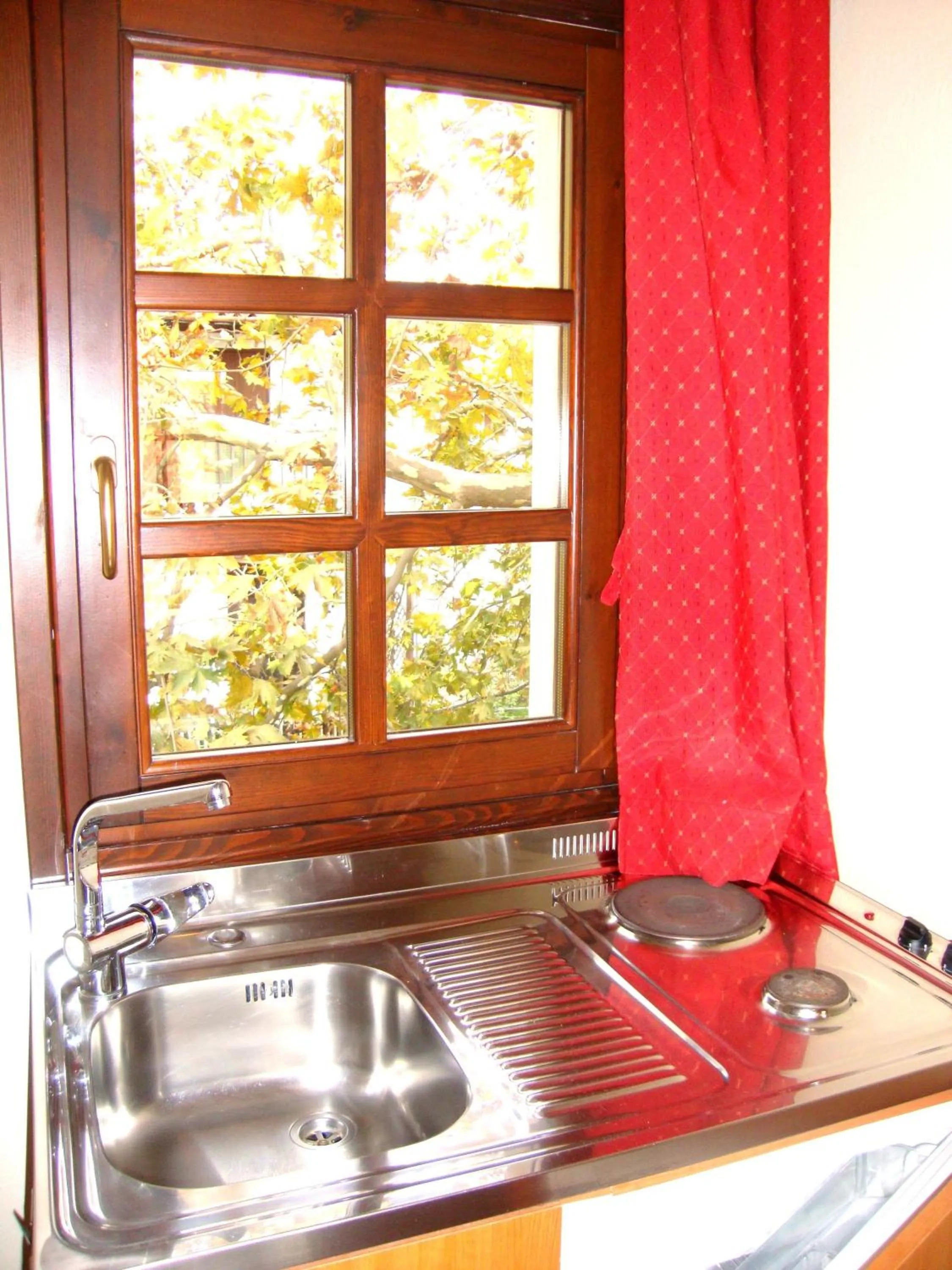 Kitchen or kitchenette in Enalion Hotel