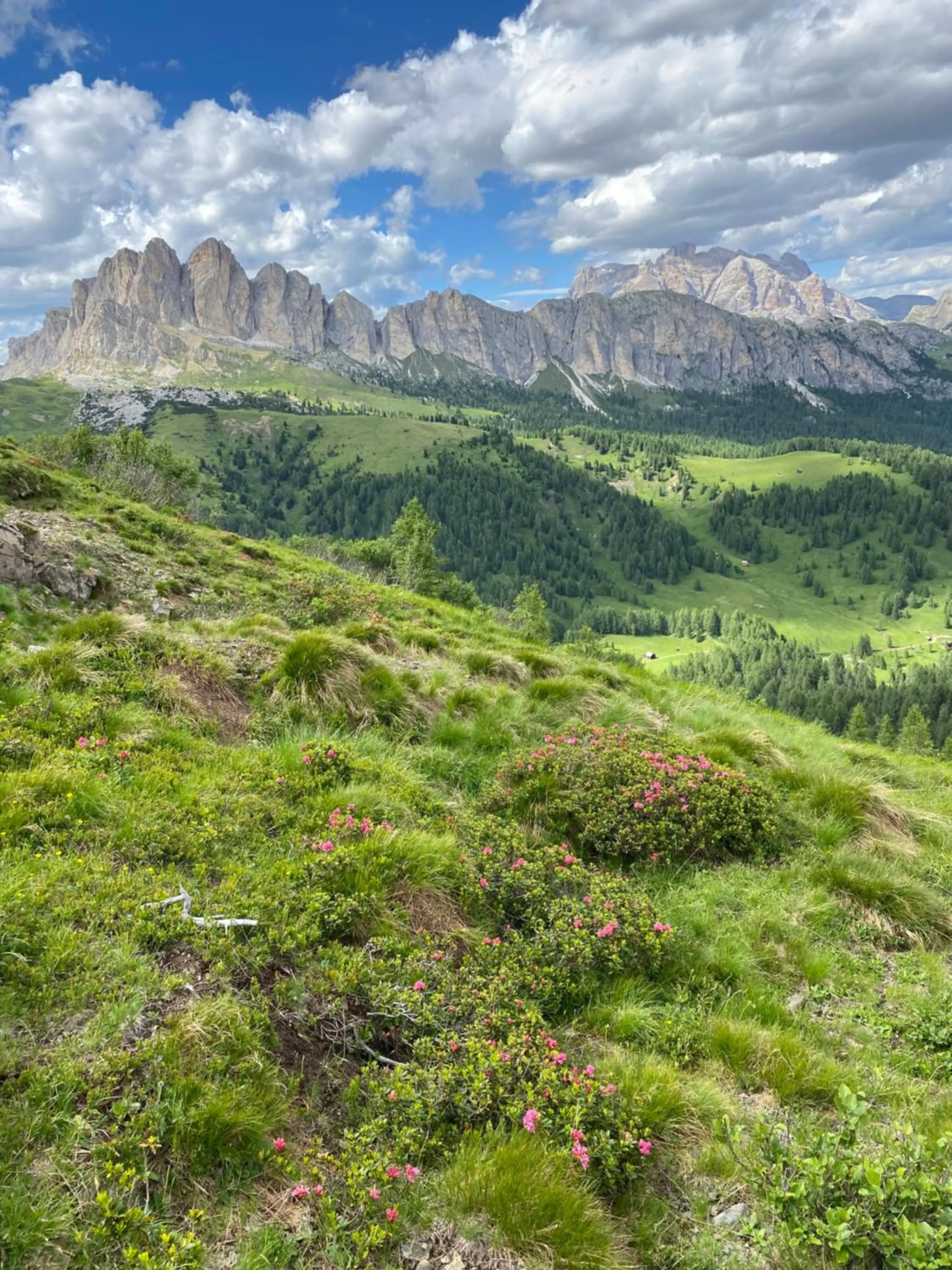 Residence Baita Antlia