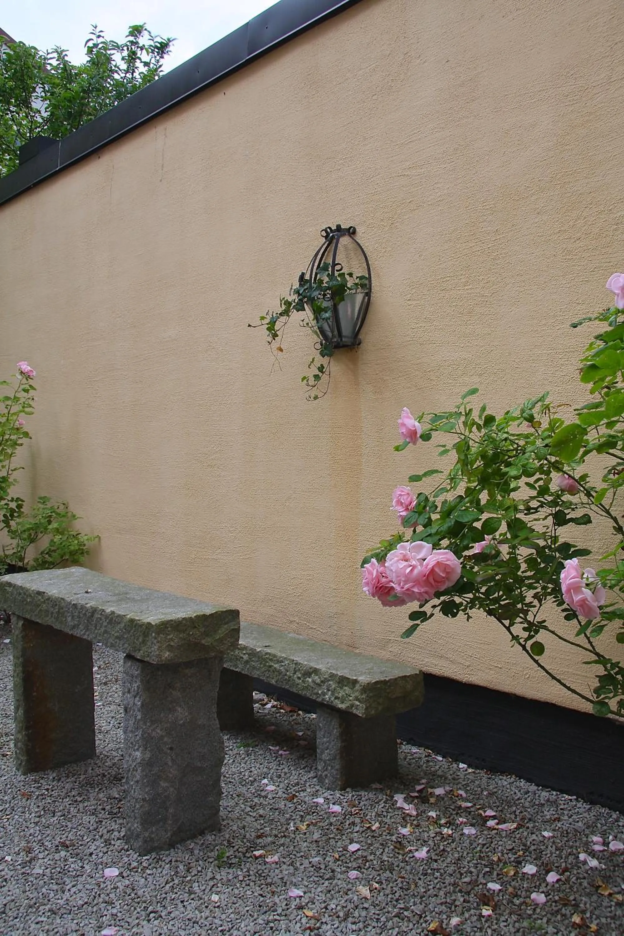 Garden in Hotell Oskar