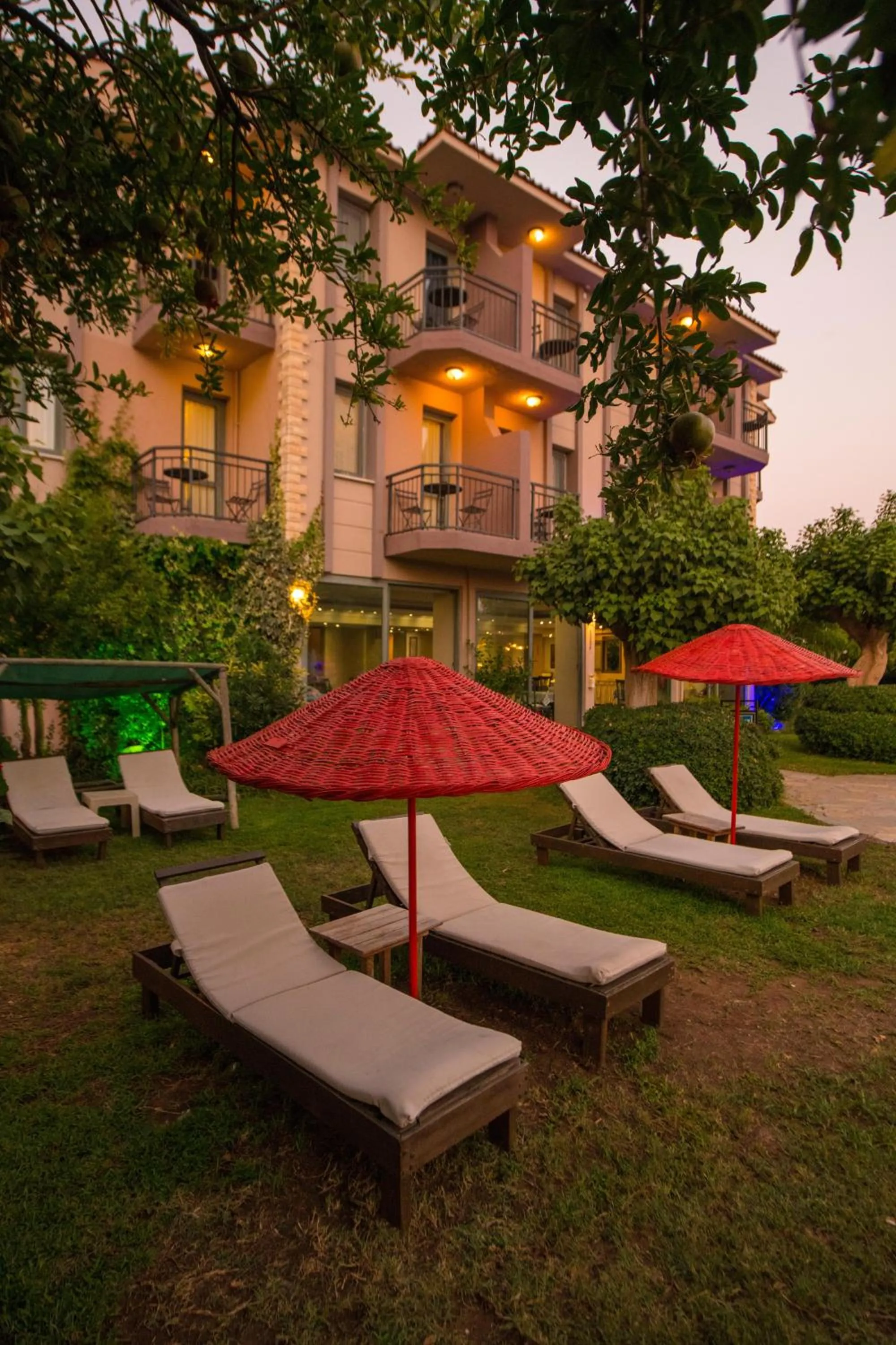 Garden in Golden Moon Hotel