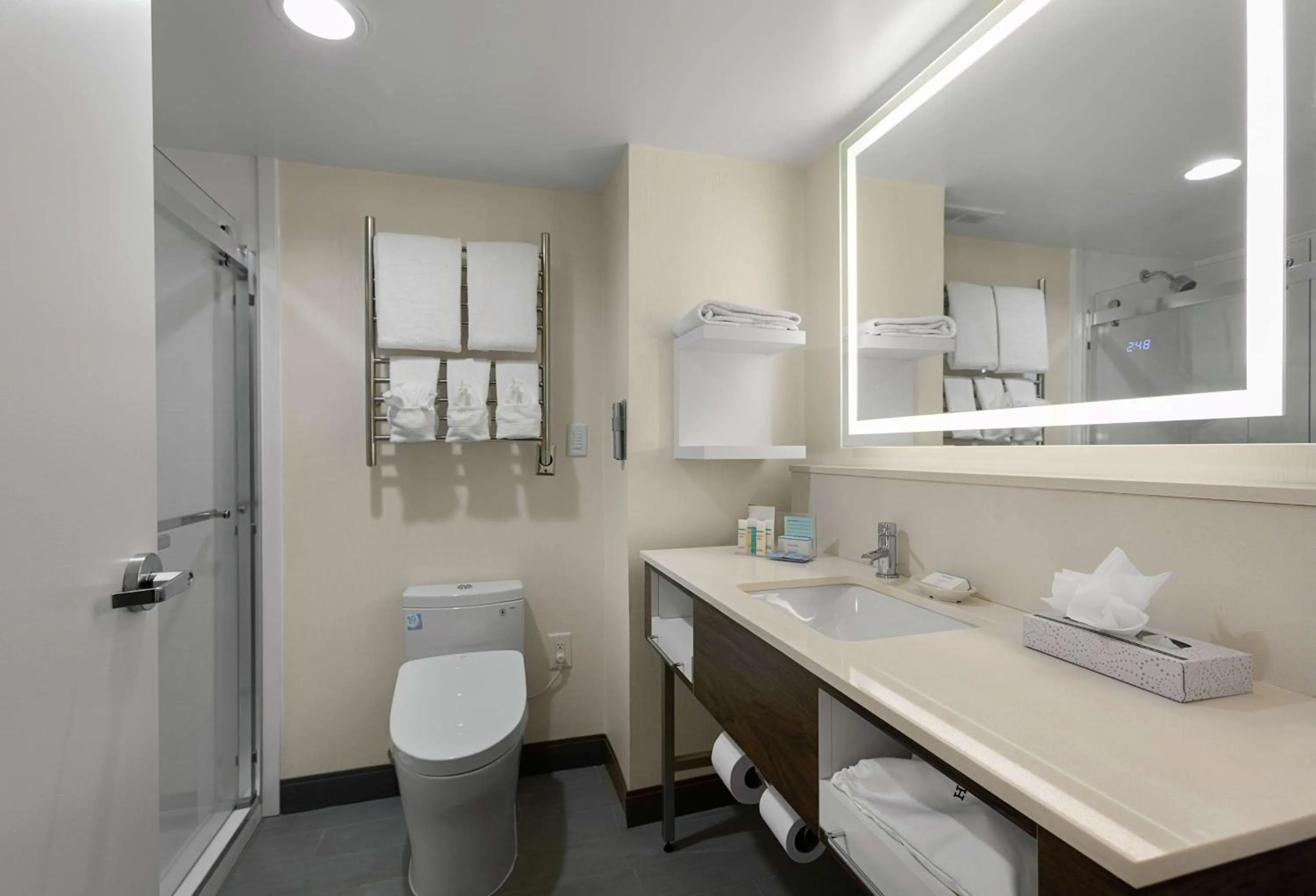 Bathroom in Hampton Inn Greenville/Travelers Rest