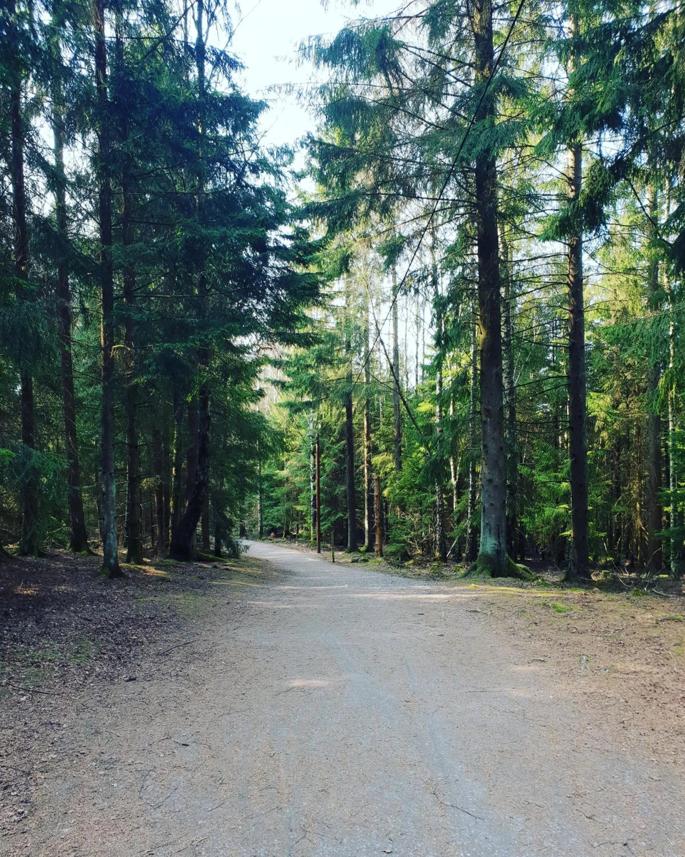 Natural landscape in Nordiska Folkhögskolan Bed and Breakfast
