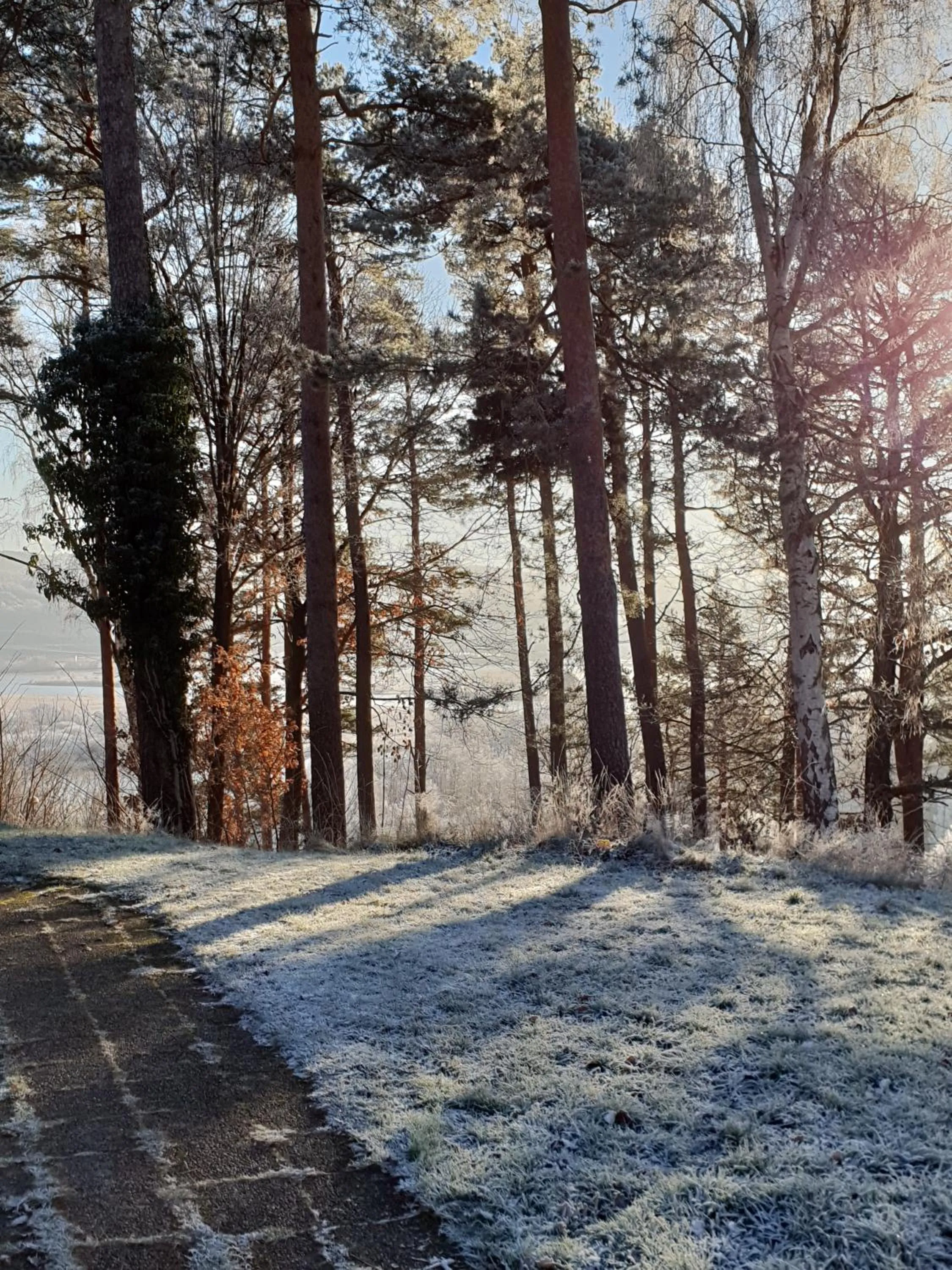 Natural landscape in Nordiska Folkhögskolan Bed and Breakfast