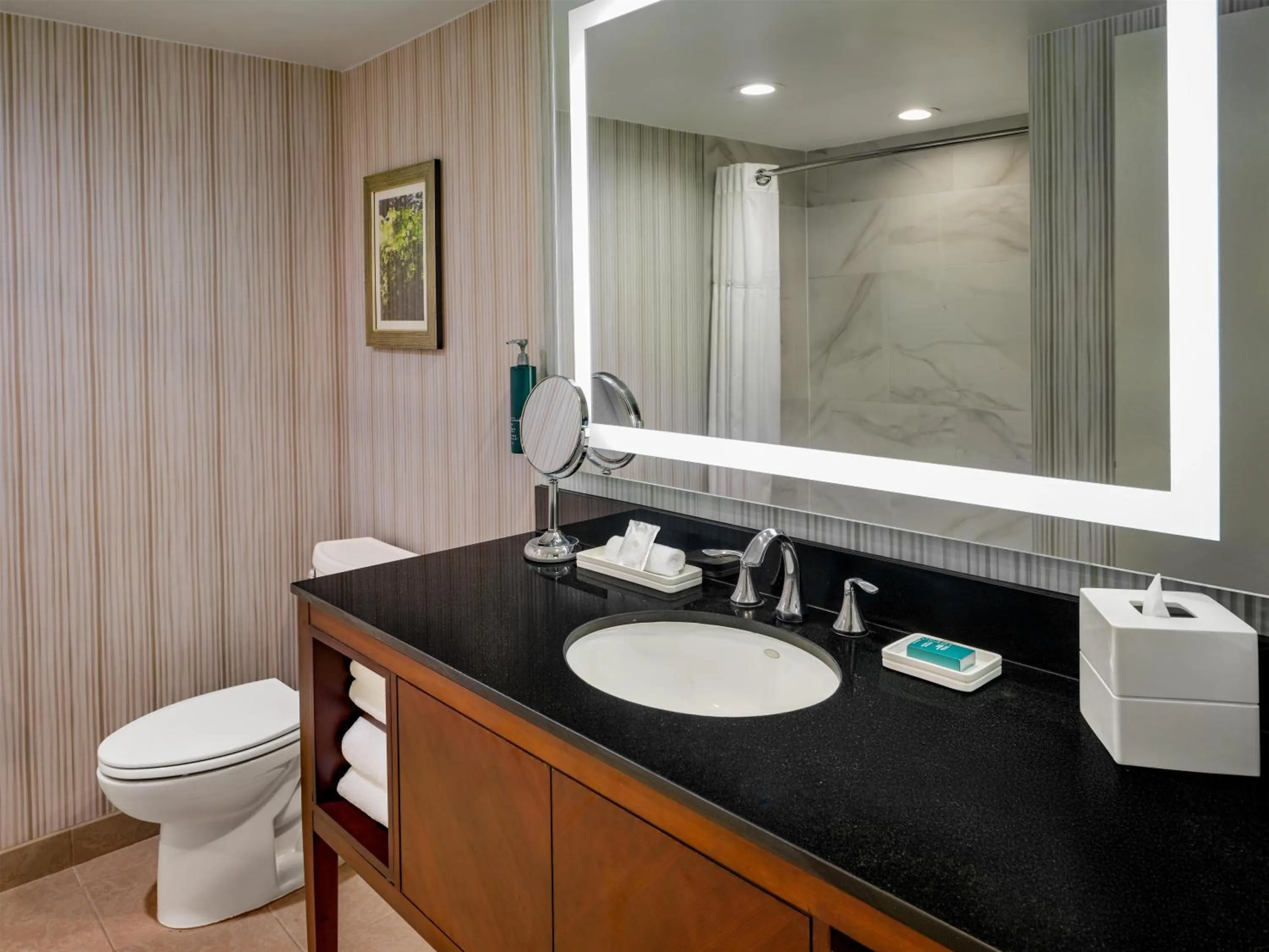 Bathroom in Hilton Washington DC/Rockville Hotel & Executive Meeting Center