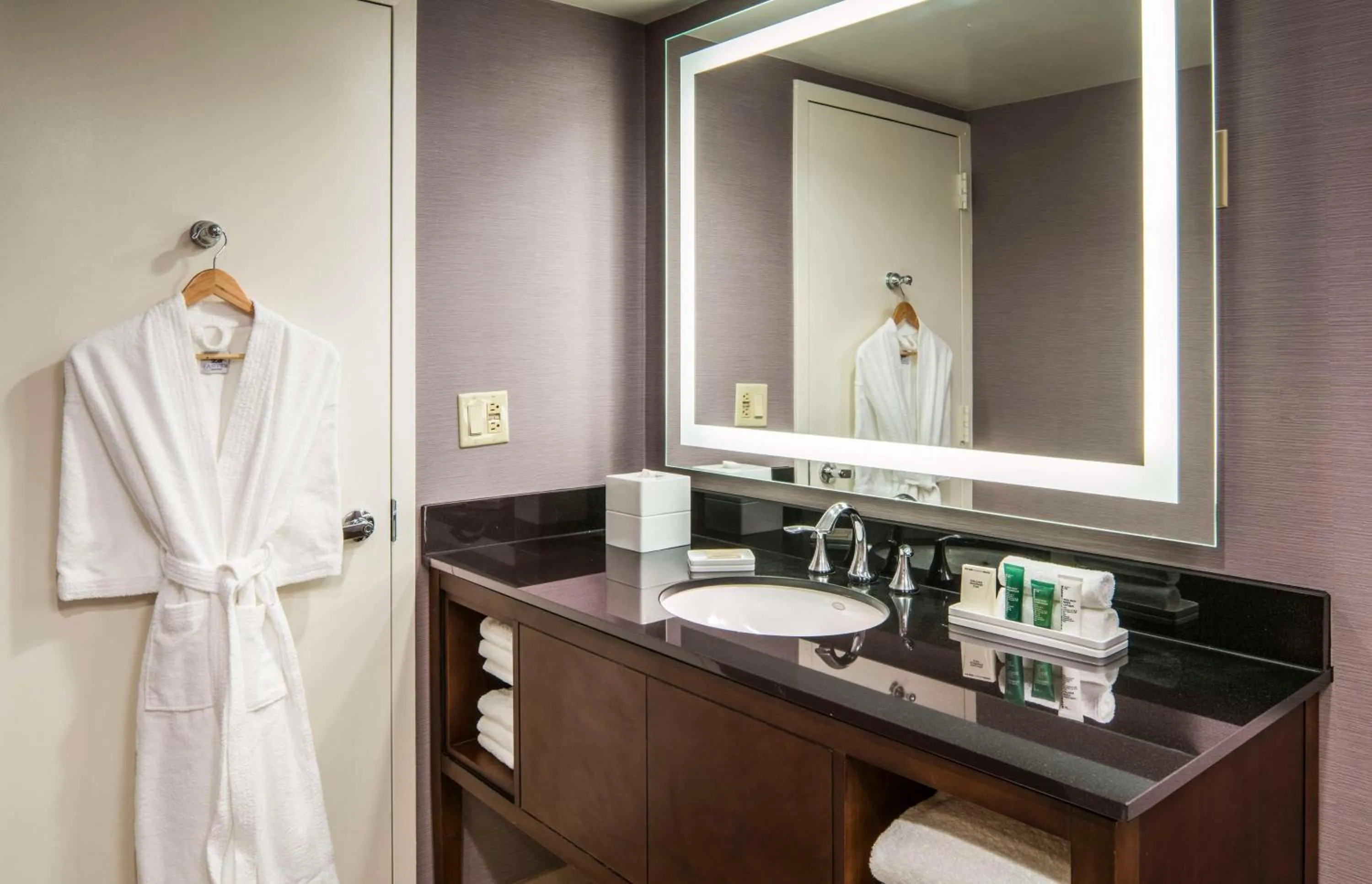 Bathroom in Hilton Washington DC/Rockville Hotel & Executive Meeting Center