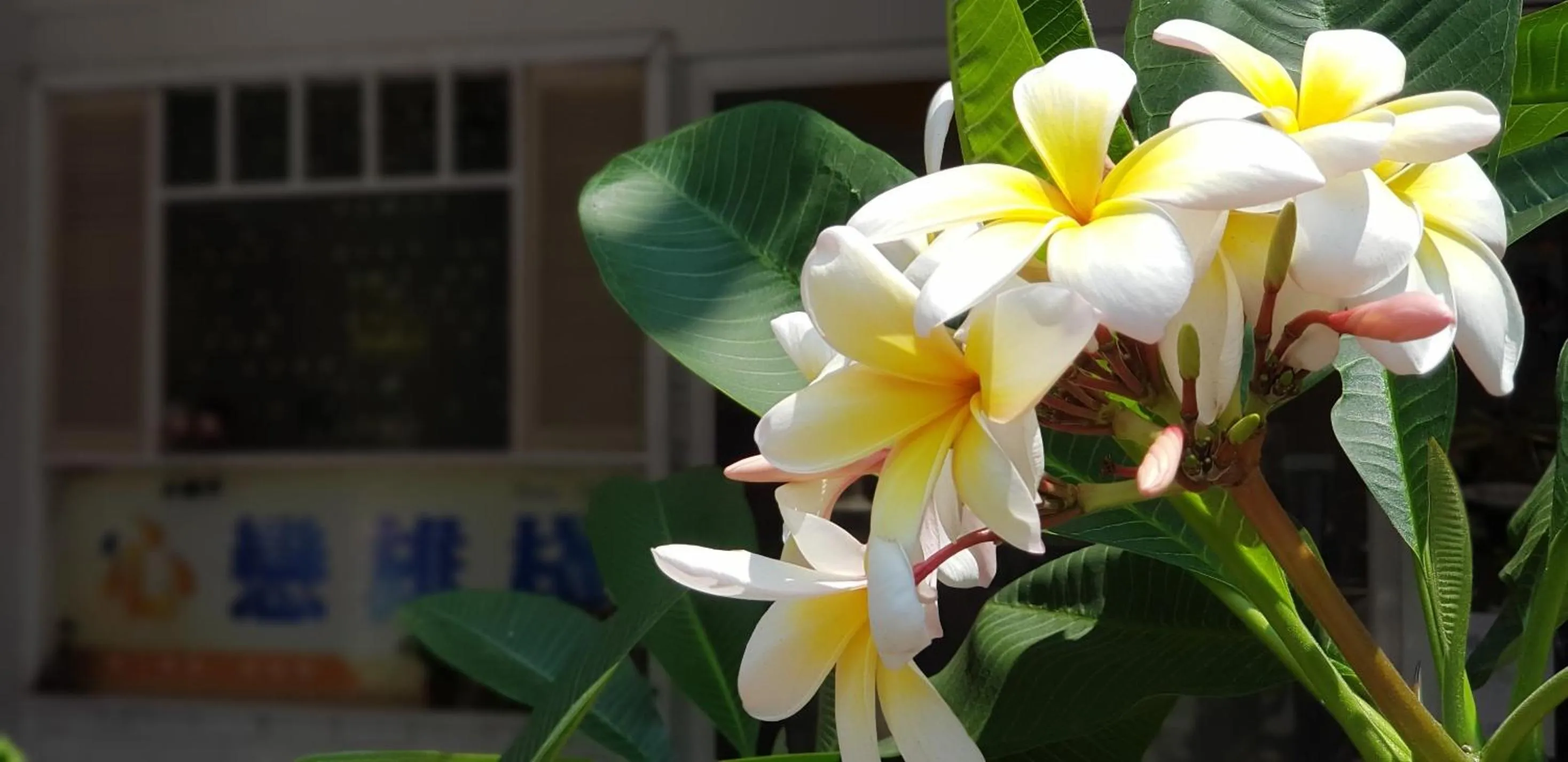 Facade/entrance in Town Stay