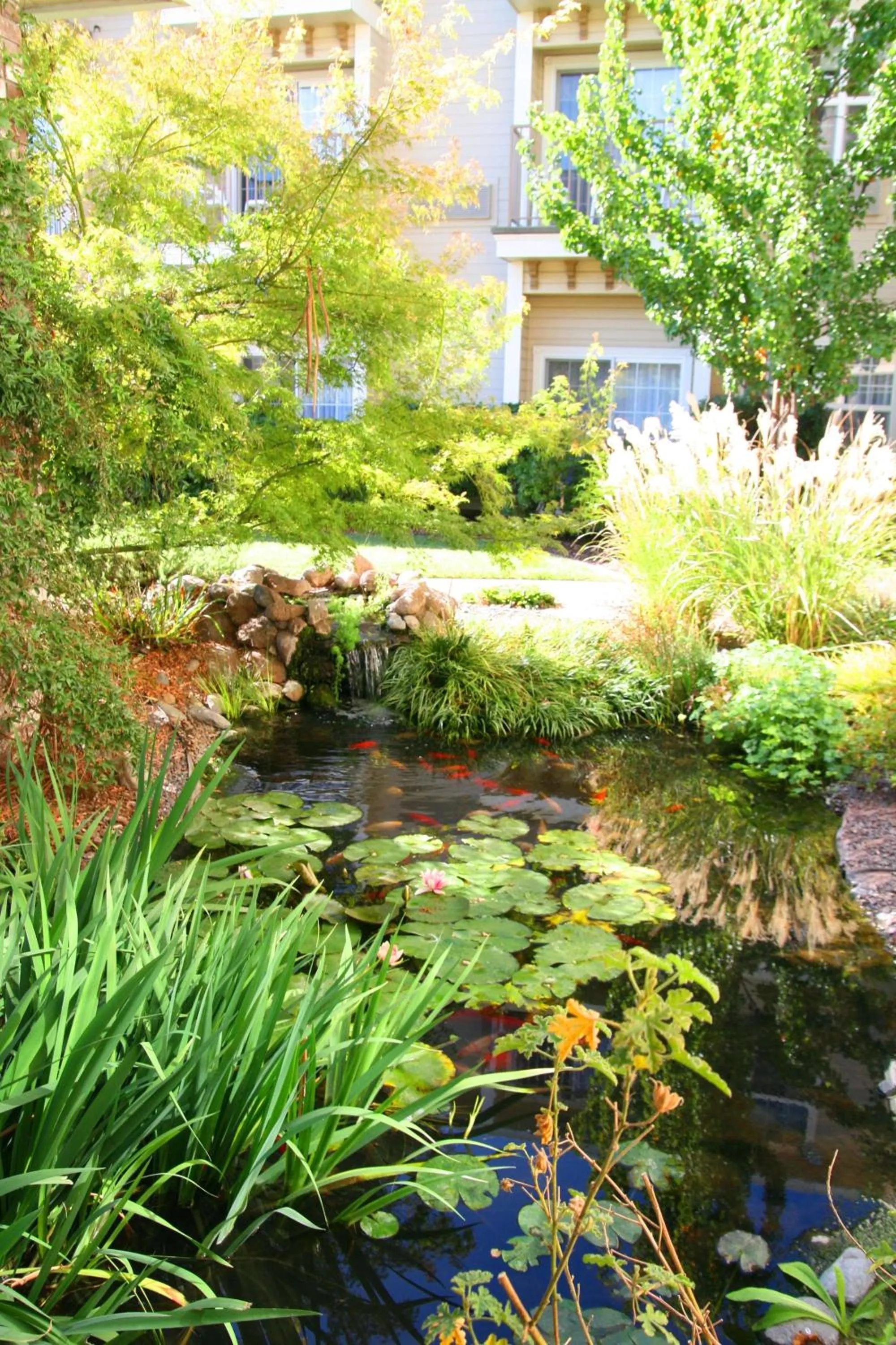 Property building in Hampton Inn Ukiah