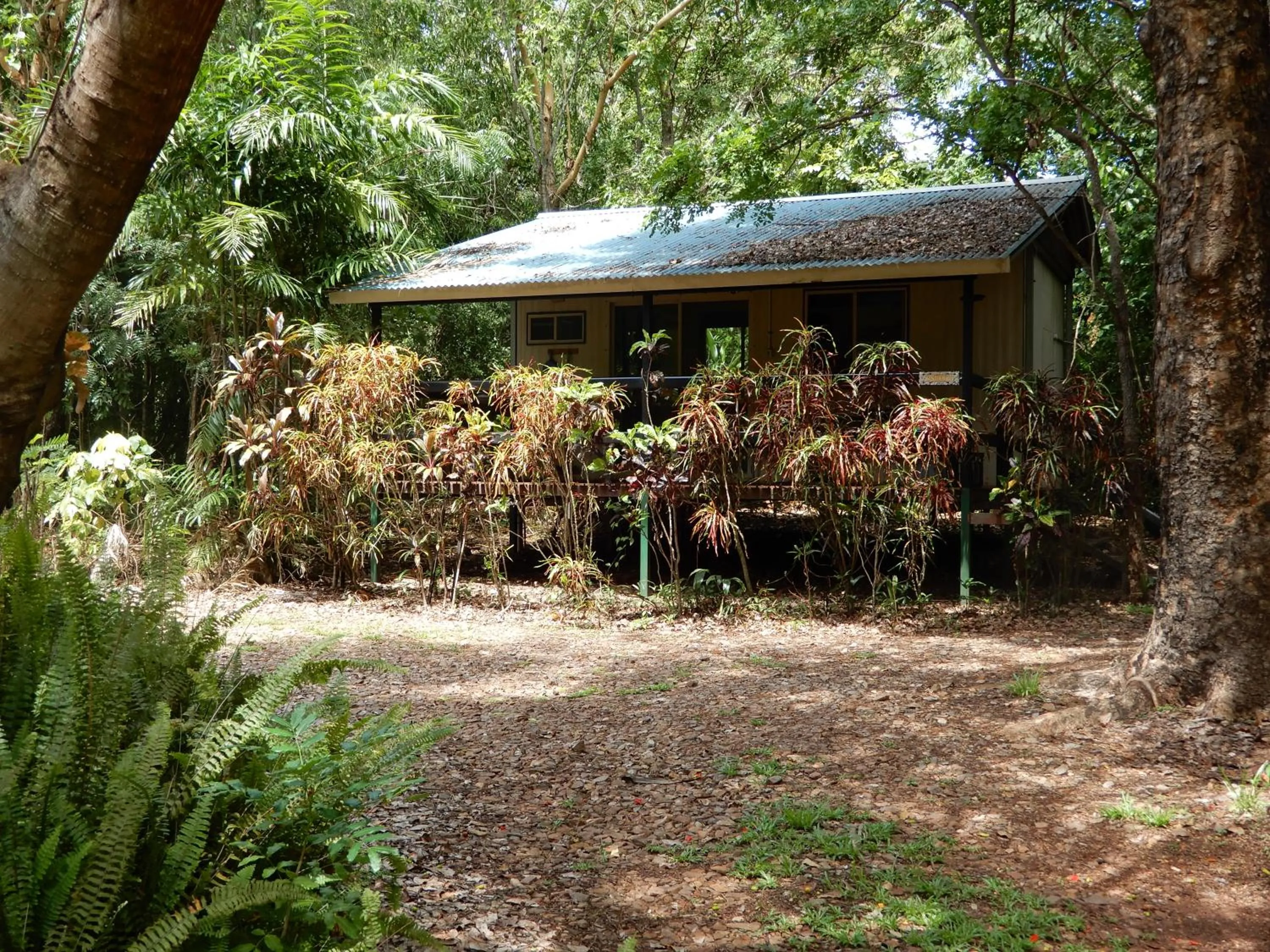 Garden view in Litchfield Tourist Park