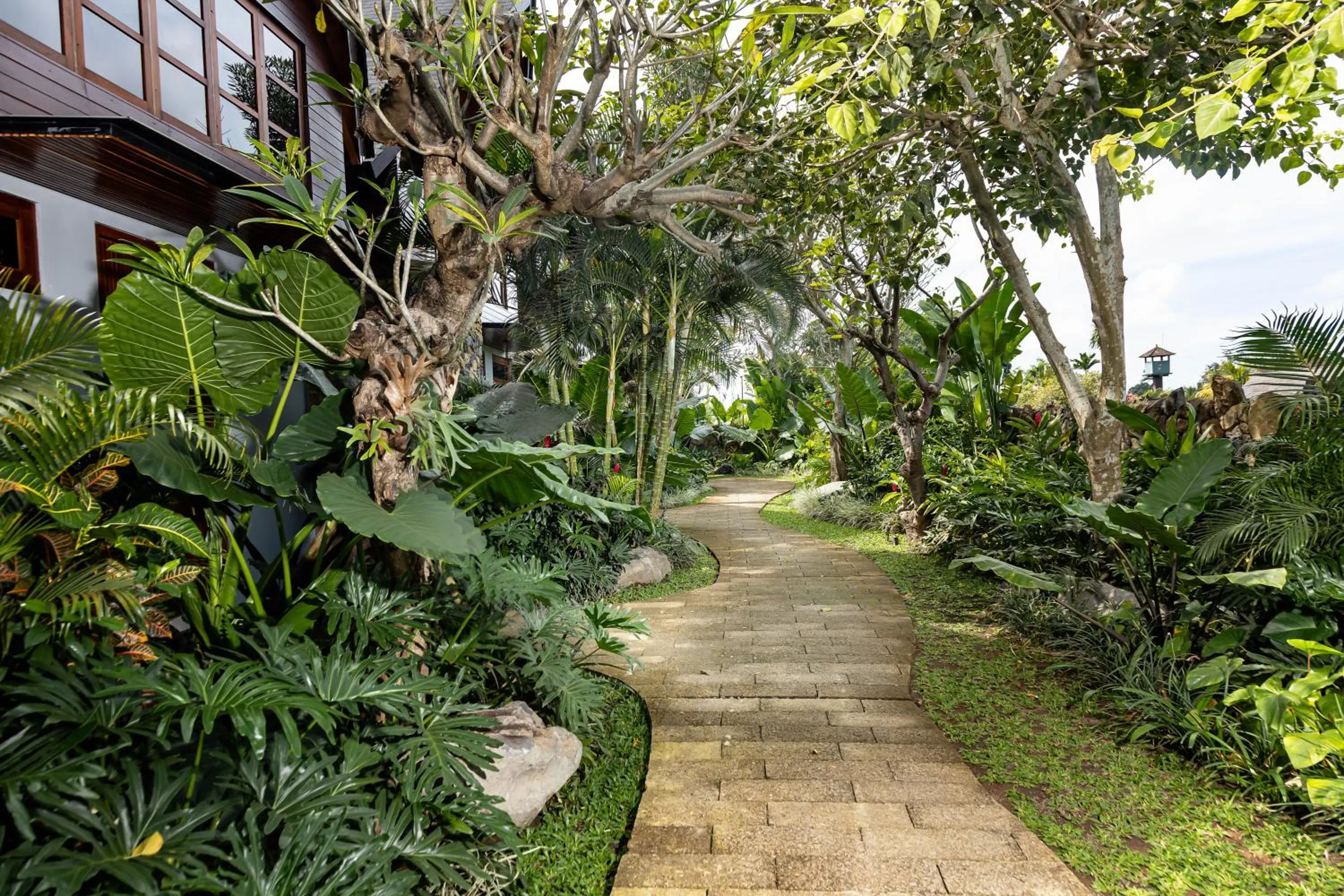 Area and facilities in Candy Villa by GenuineHost