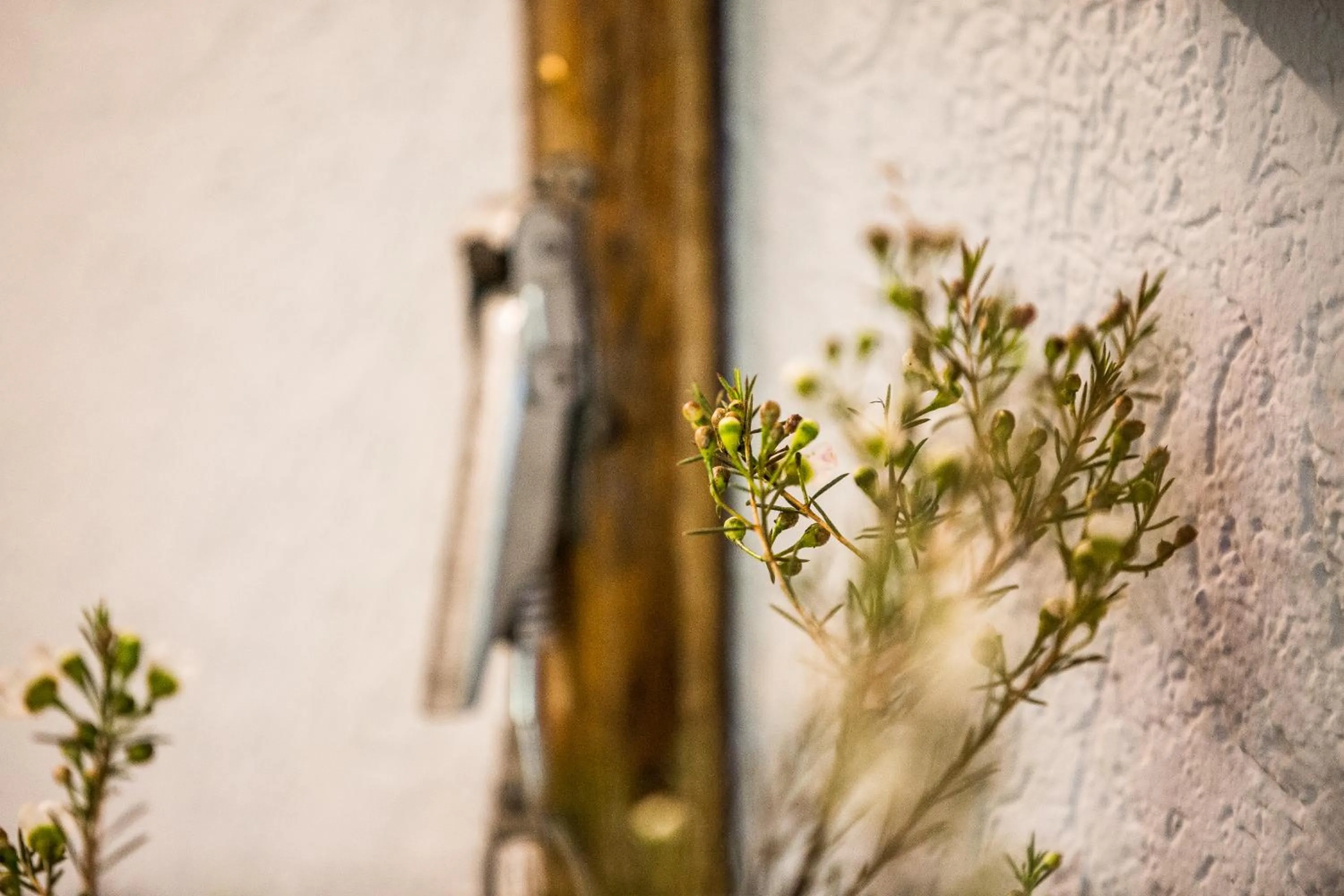 Lobby or reception in Anderschitz Landhotel