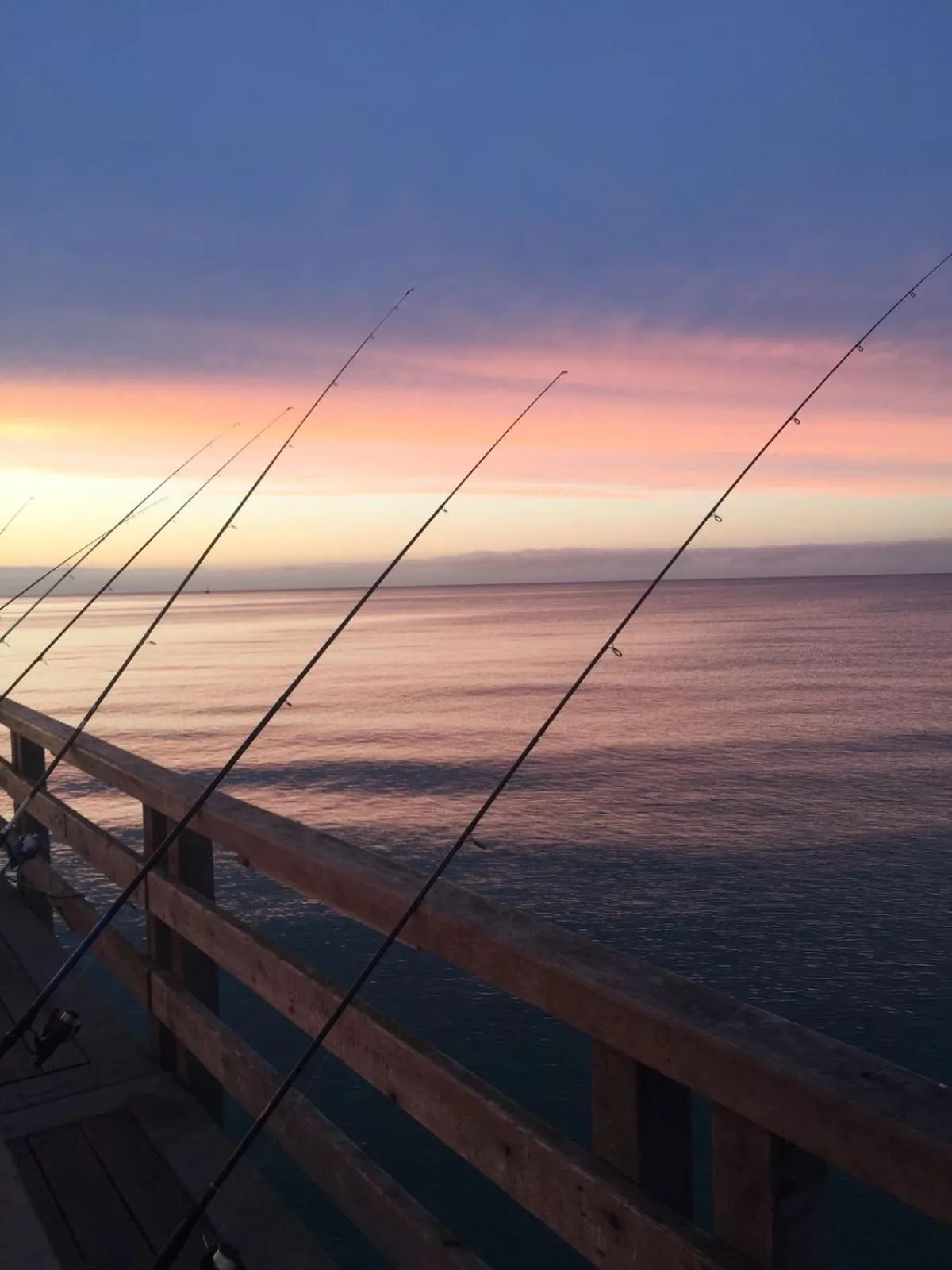 Natural landscape in Strandresidenz Villa Verdi