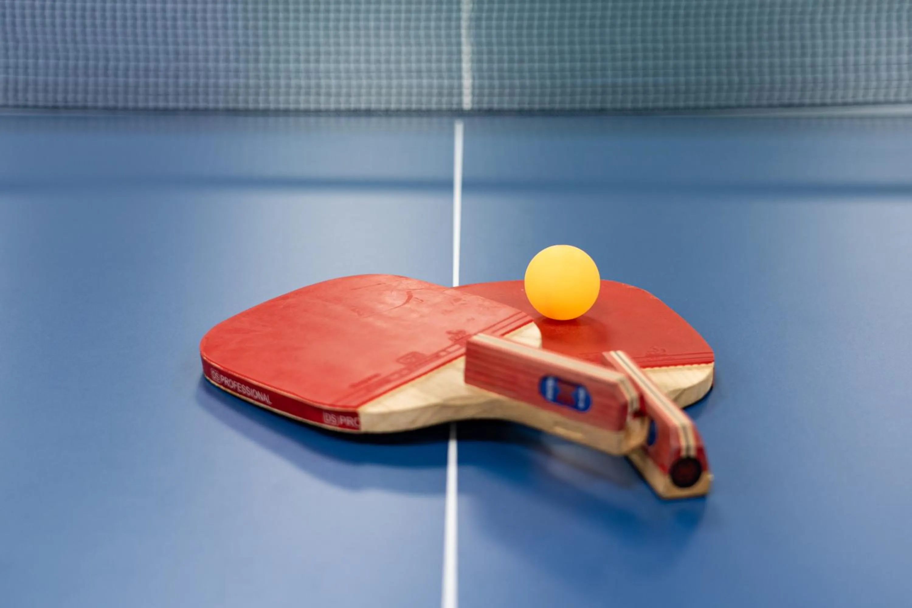 Table tennis in Hotel Stayon