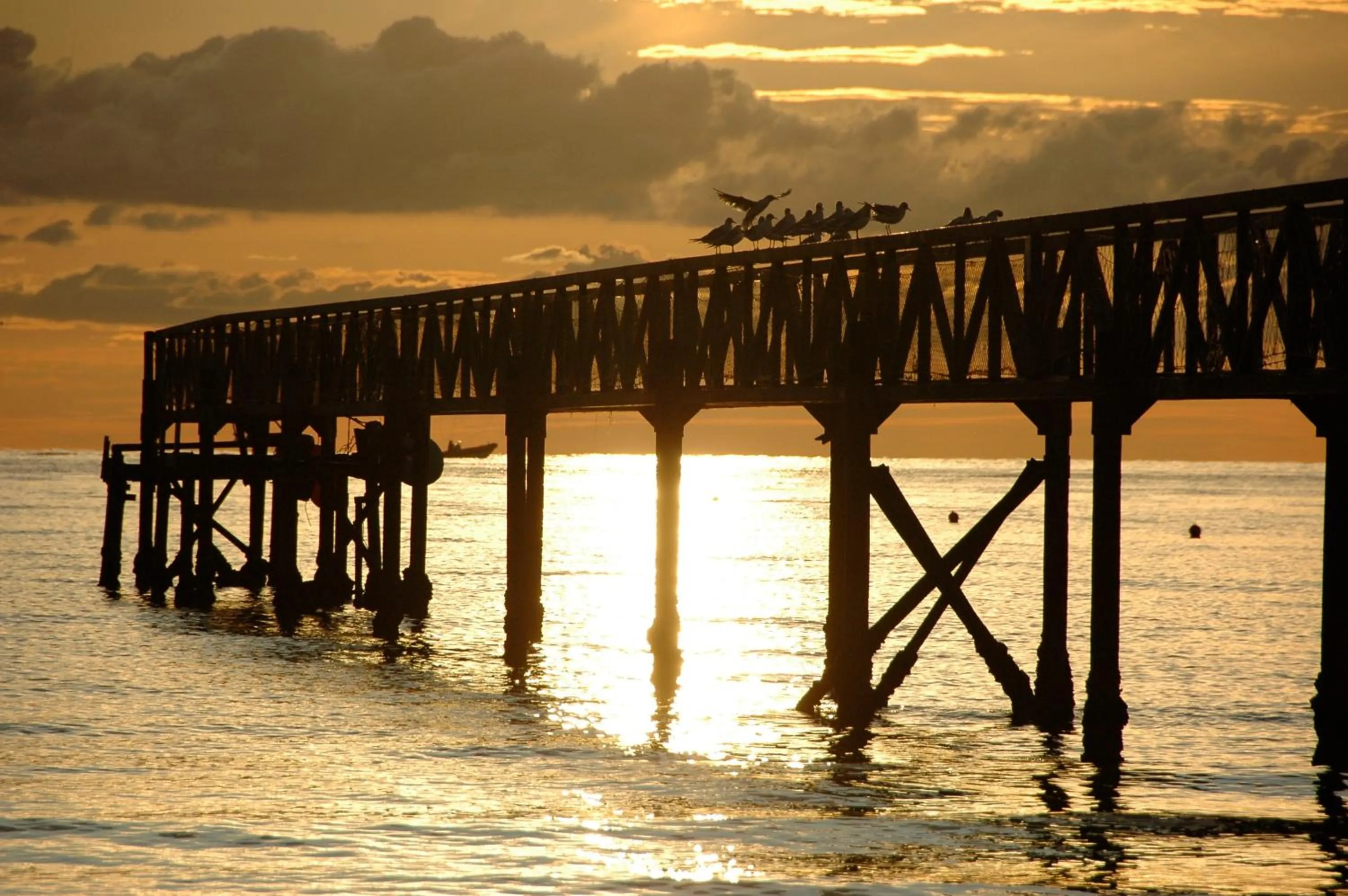 Area and facilities in Hotel Beau Soleil
