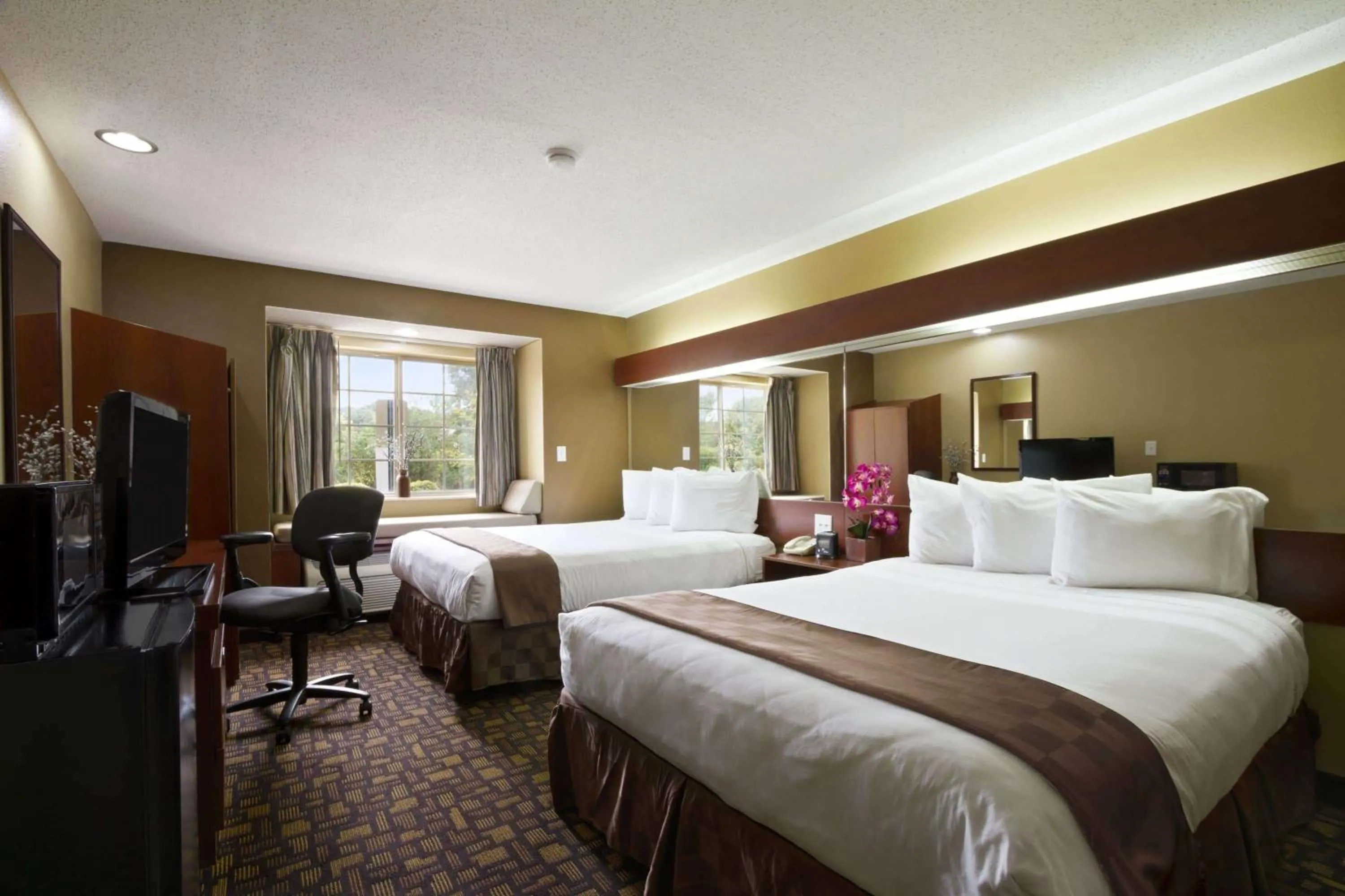 Photo of the whole room, Bed in Microtel Inn & Suites by Wyndham Lithonia/Stone Mountain