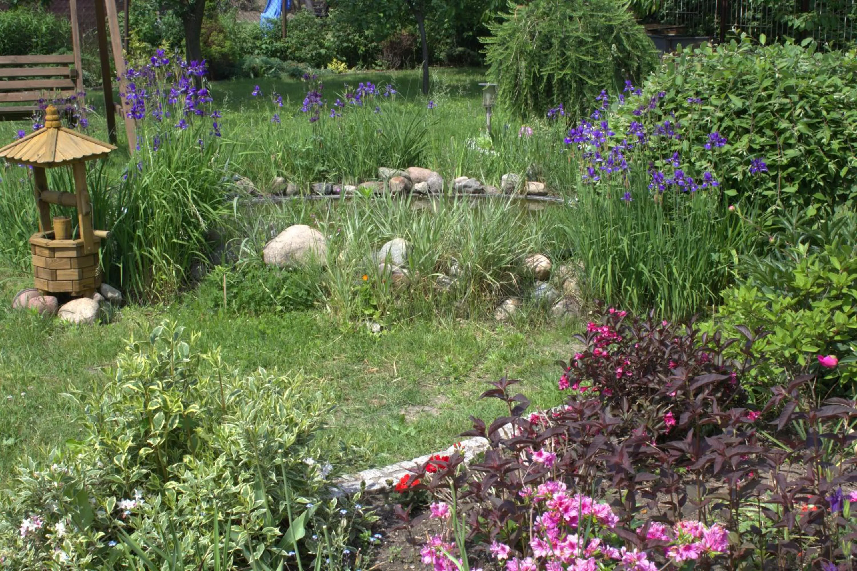 Day in Villa Pan Tadeusz