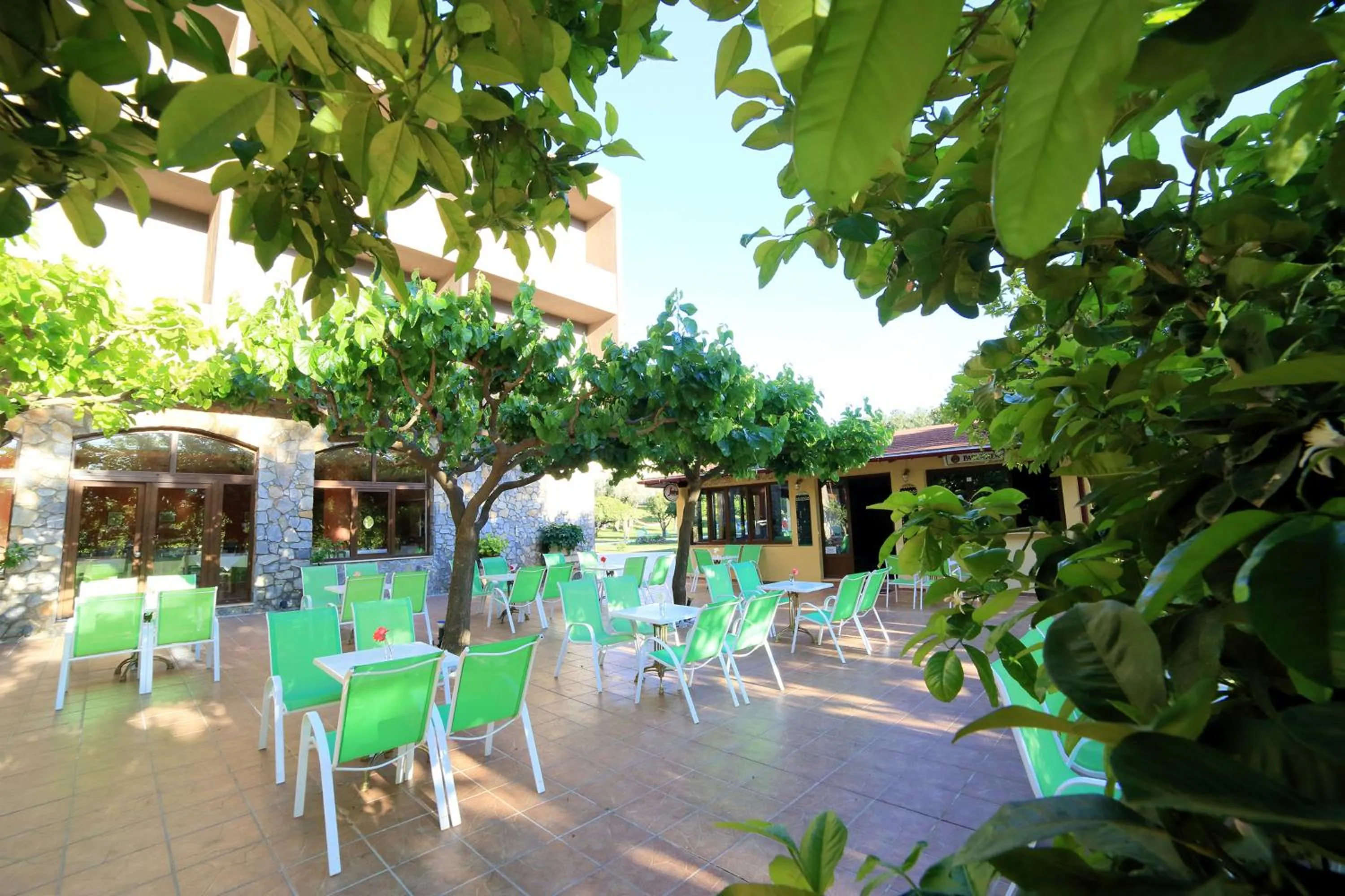 Lounge or bar in Idi Hotel