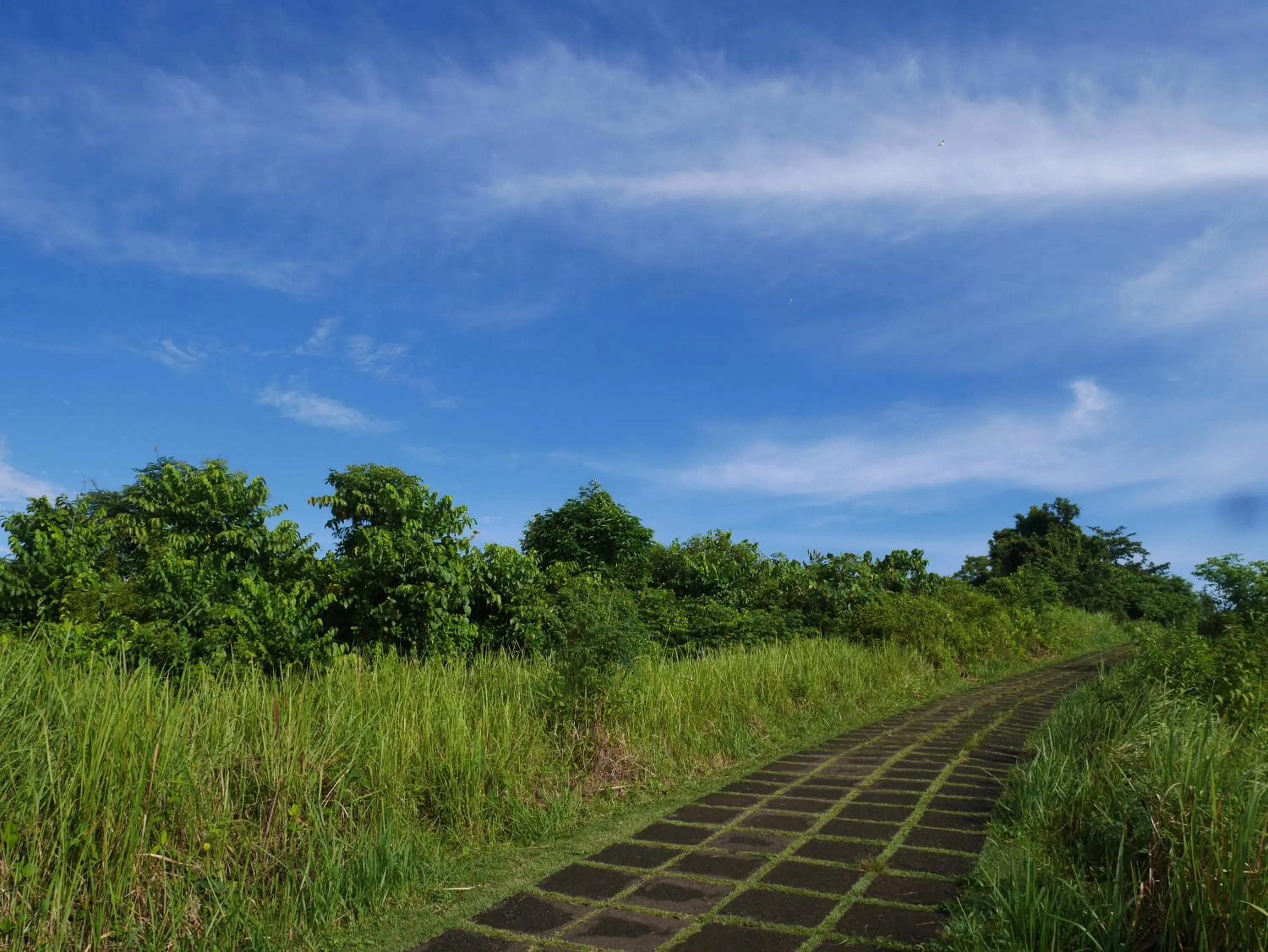 Hiking in Sari Villa Ubud