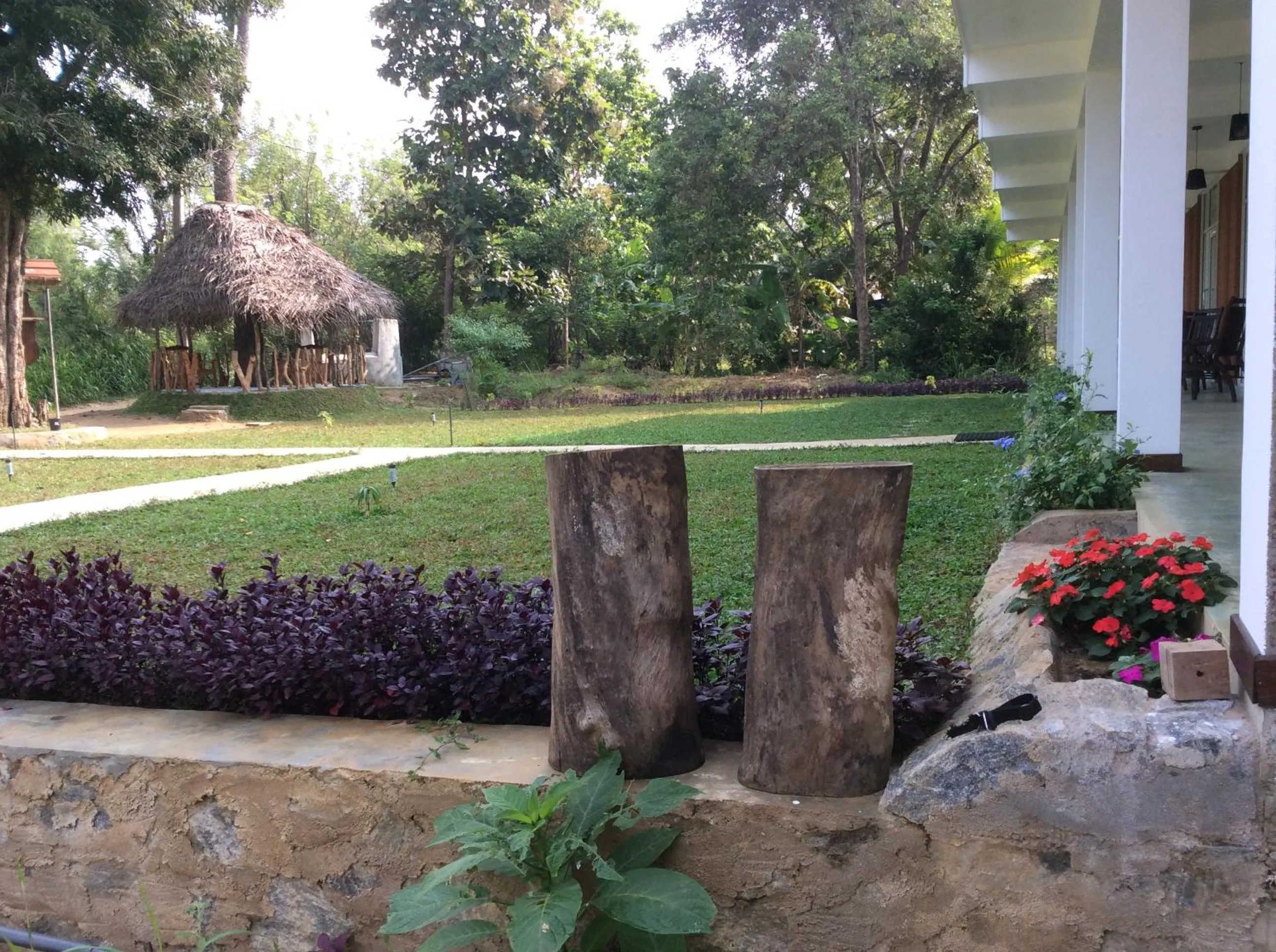 On site in Sigiriya Rock Hide
