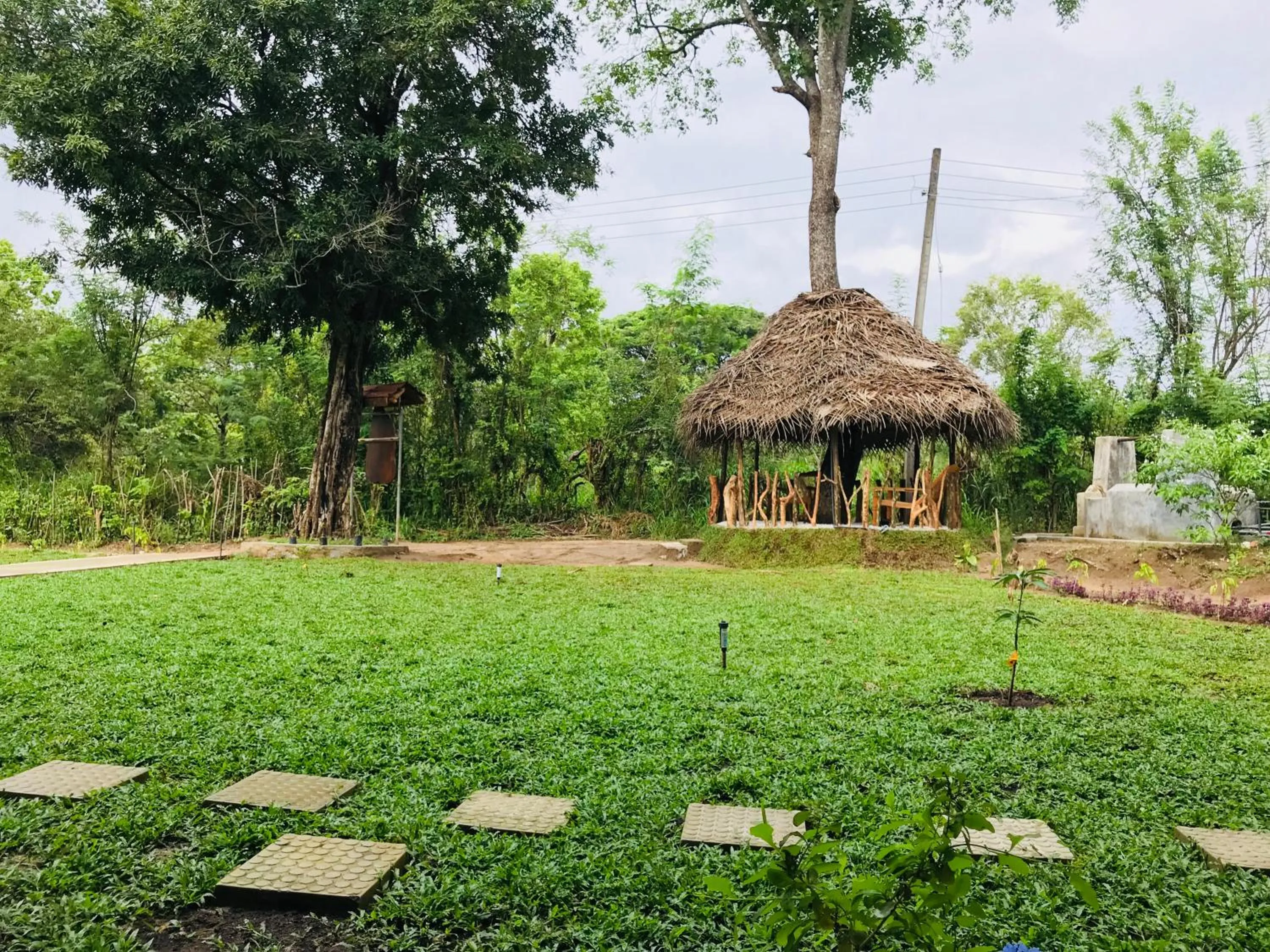 Garden view in Sigiriya Rock Hide