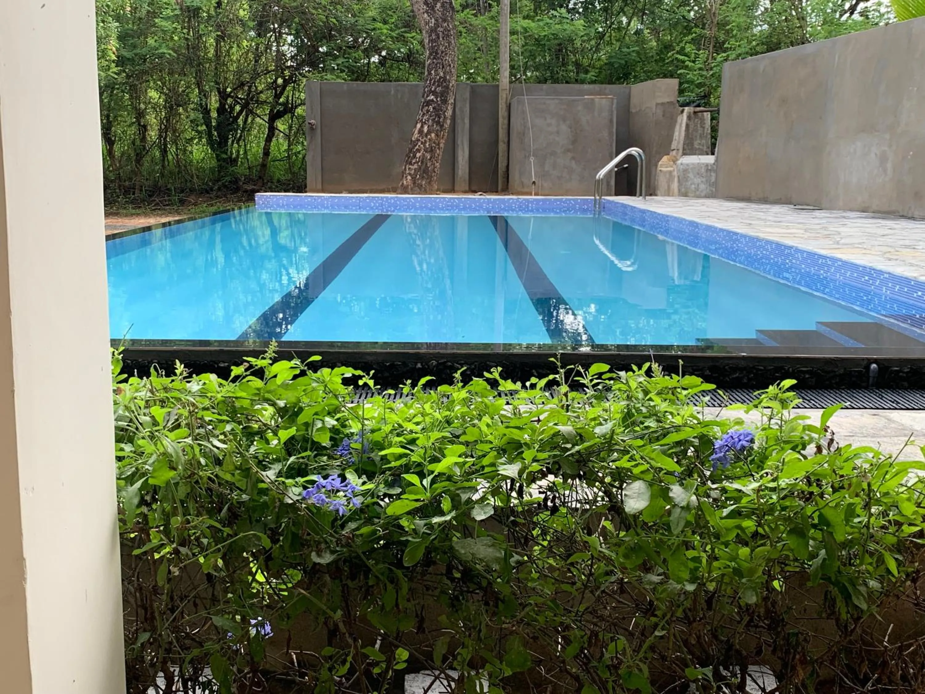 Swimming pool in Sigiriya Rock Hide