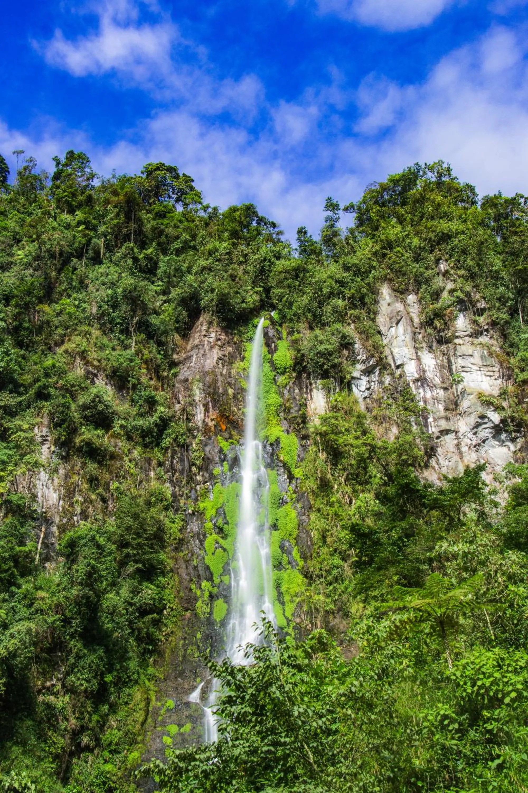 View (from property/room) in Termales Santa Rosa De Cabal