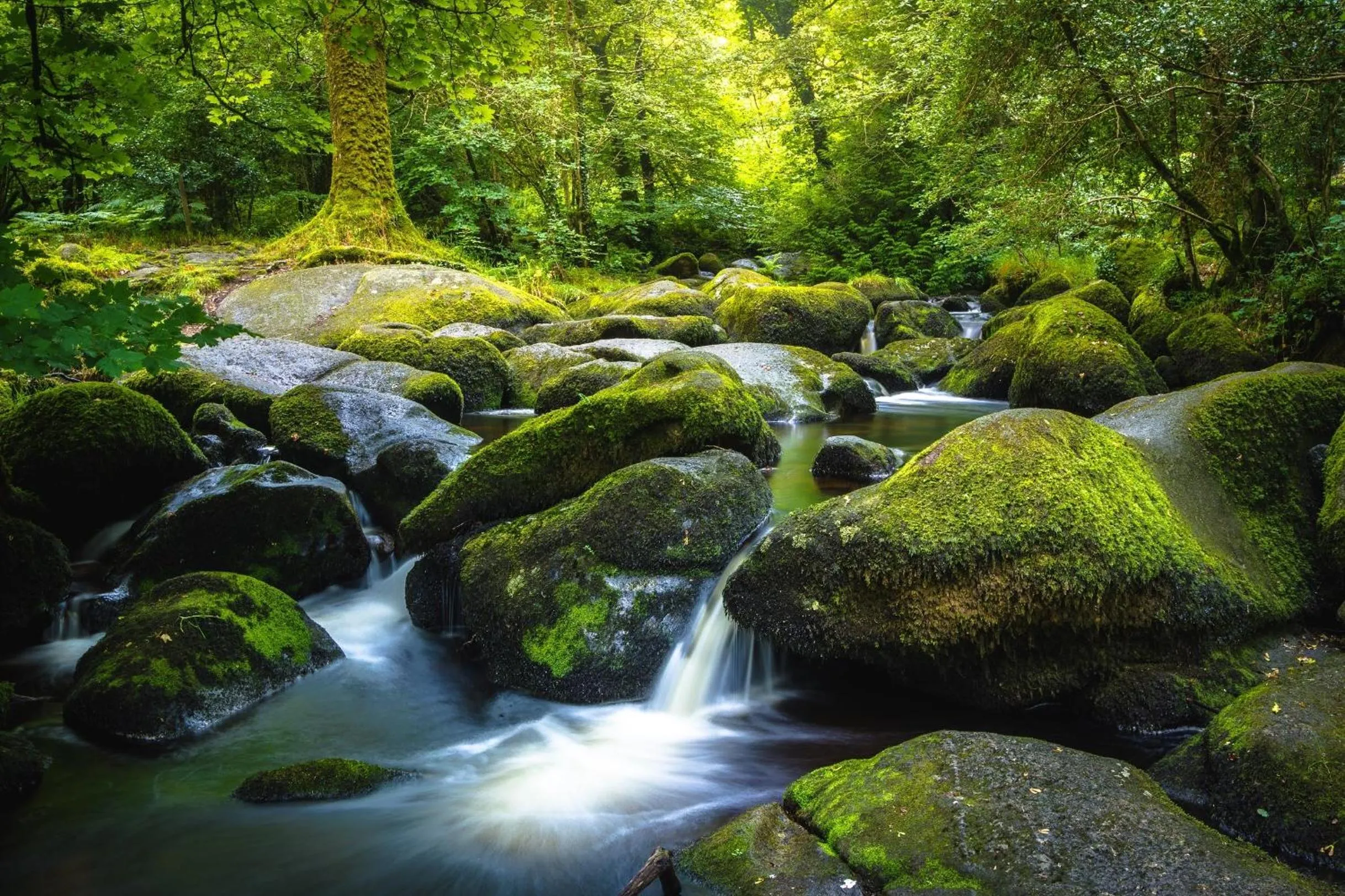 Neighbourhood in Union Road Moto Velo Accommodation