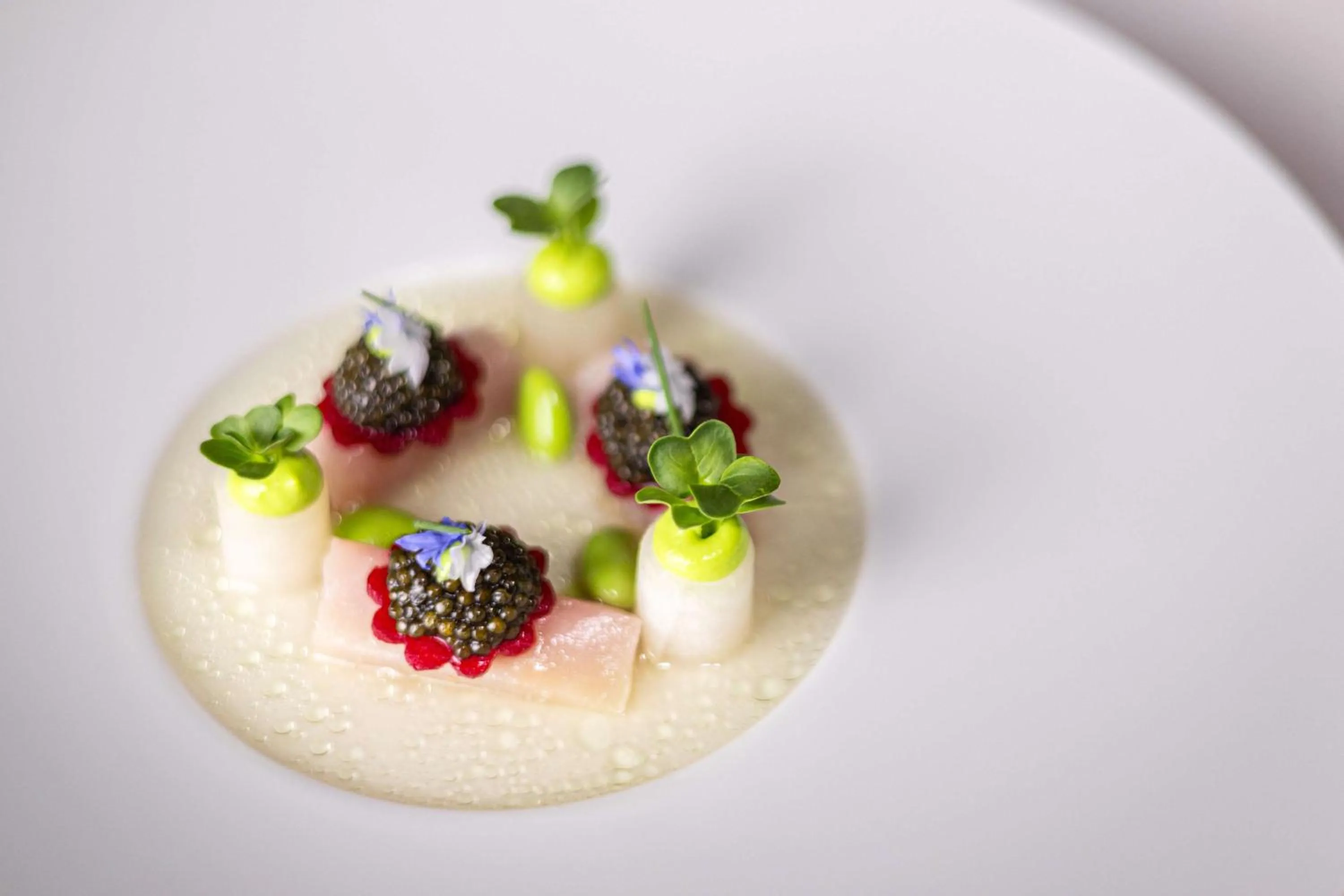 Restaurant/places to eat in Schlosshotel Münchhausen