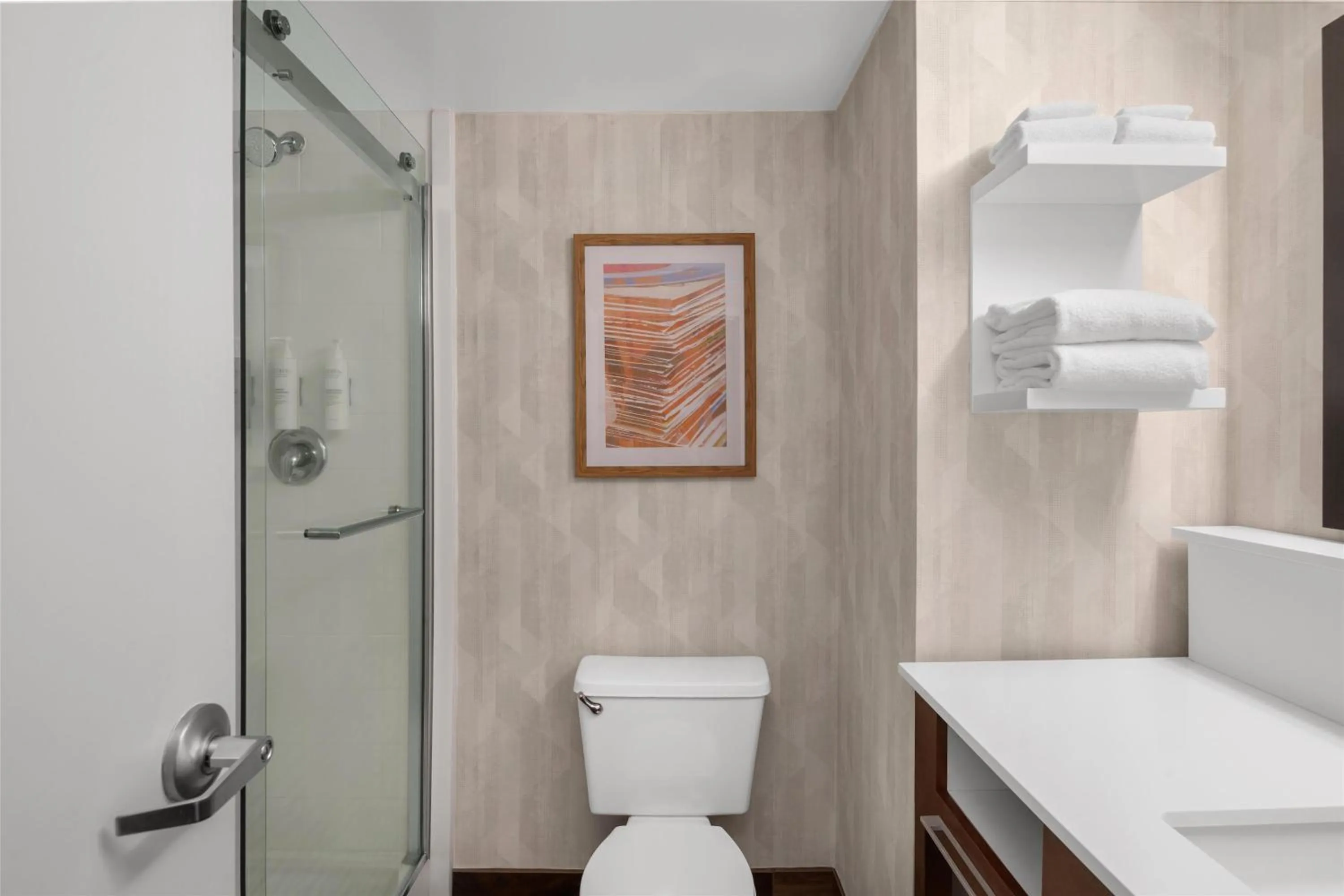 Bathroom in Hampton Inn Memphis / Southaven