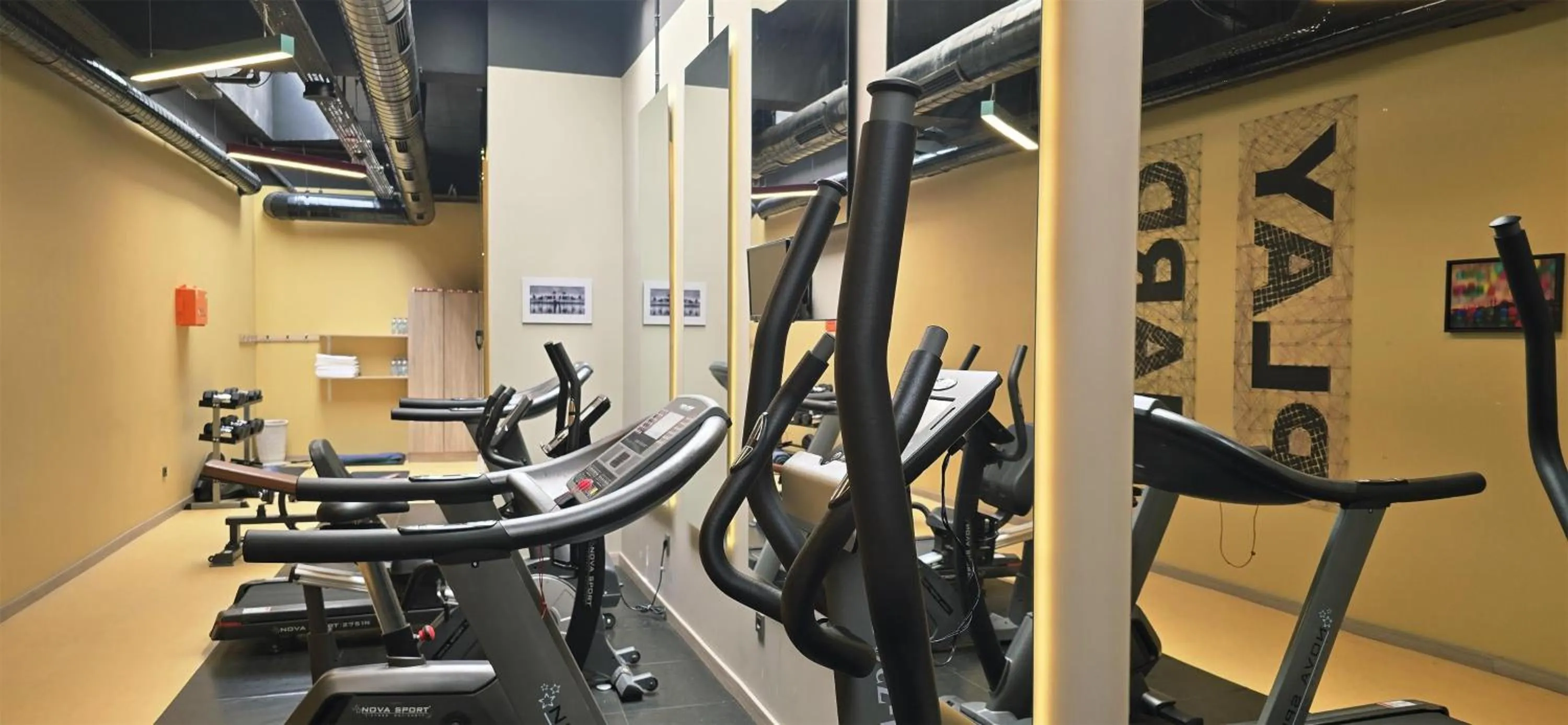 Fitness centre/facilities in Park Inn by Radisson Istanbul Airport Odayeri