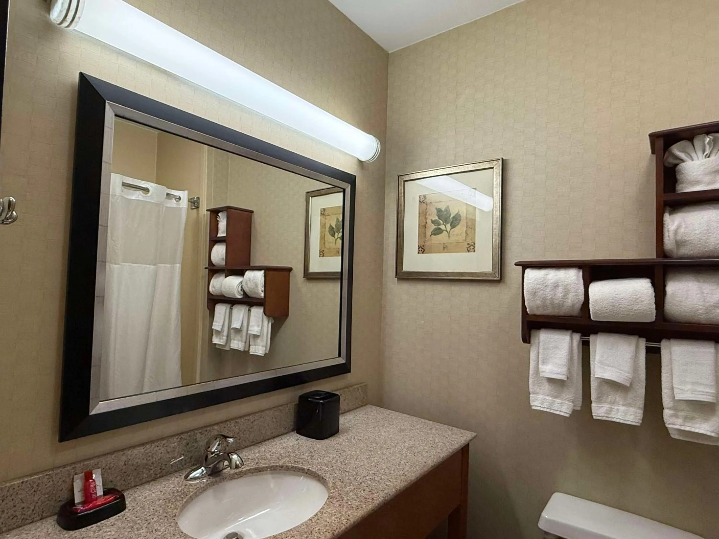 Bathroom in Hampton Inn Decatur/Forsyth