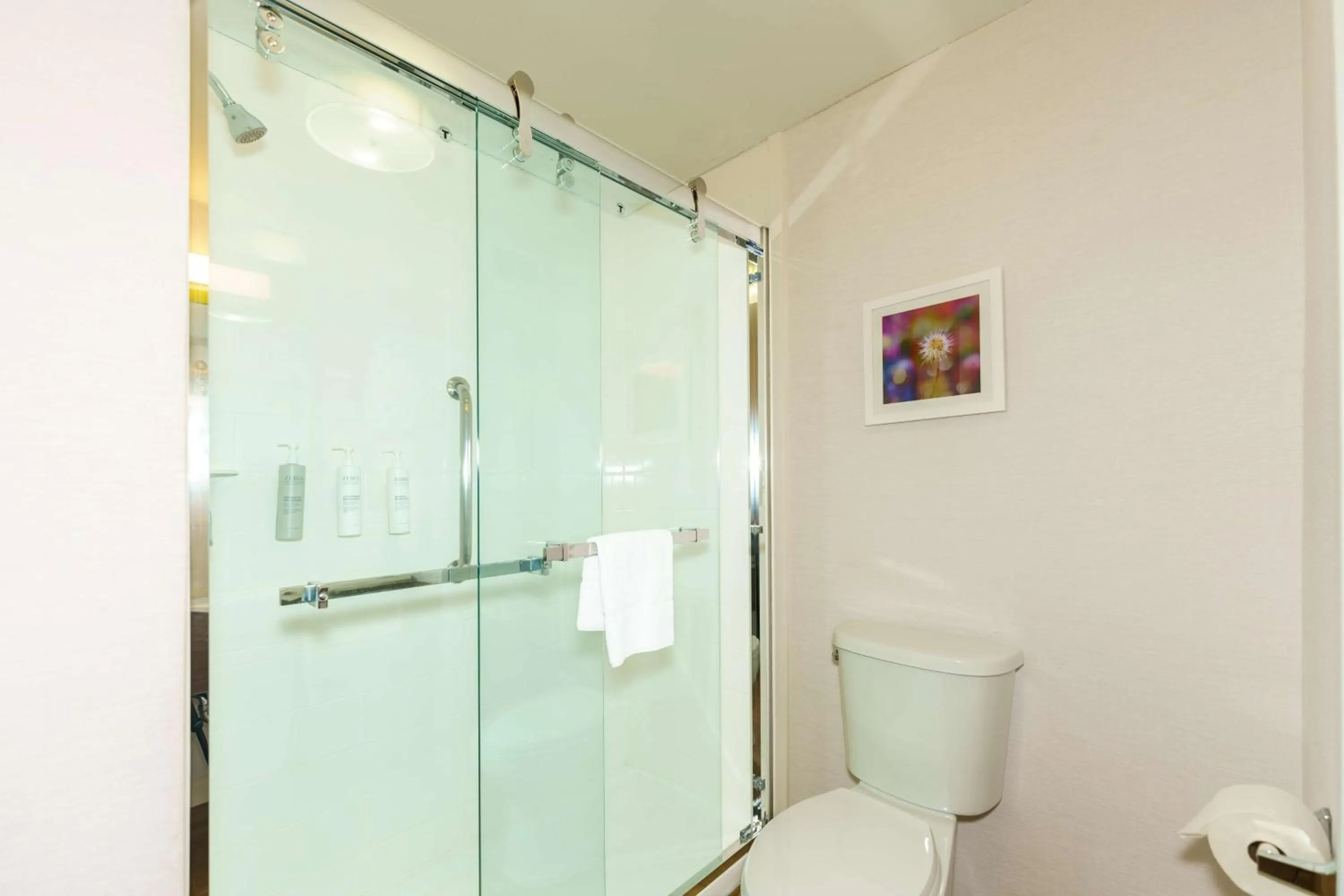 Bathroom in Hampton Inn Hutchinson