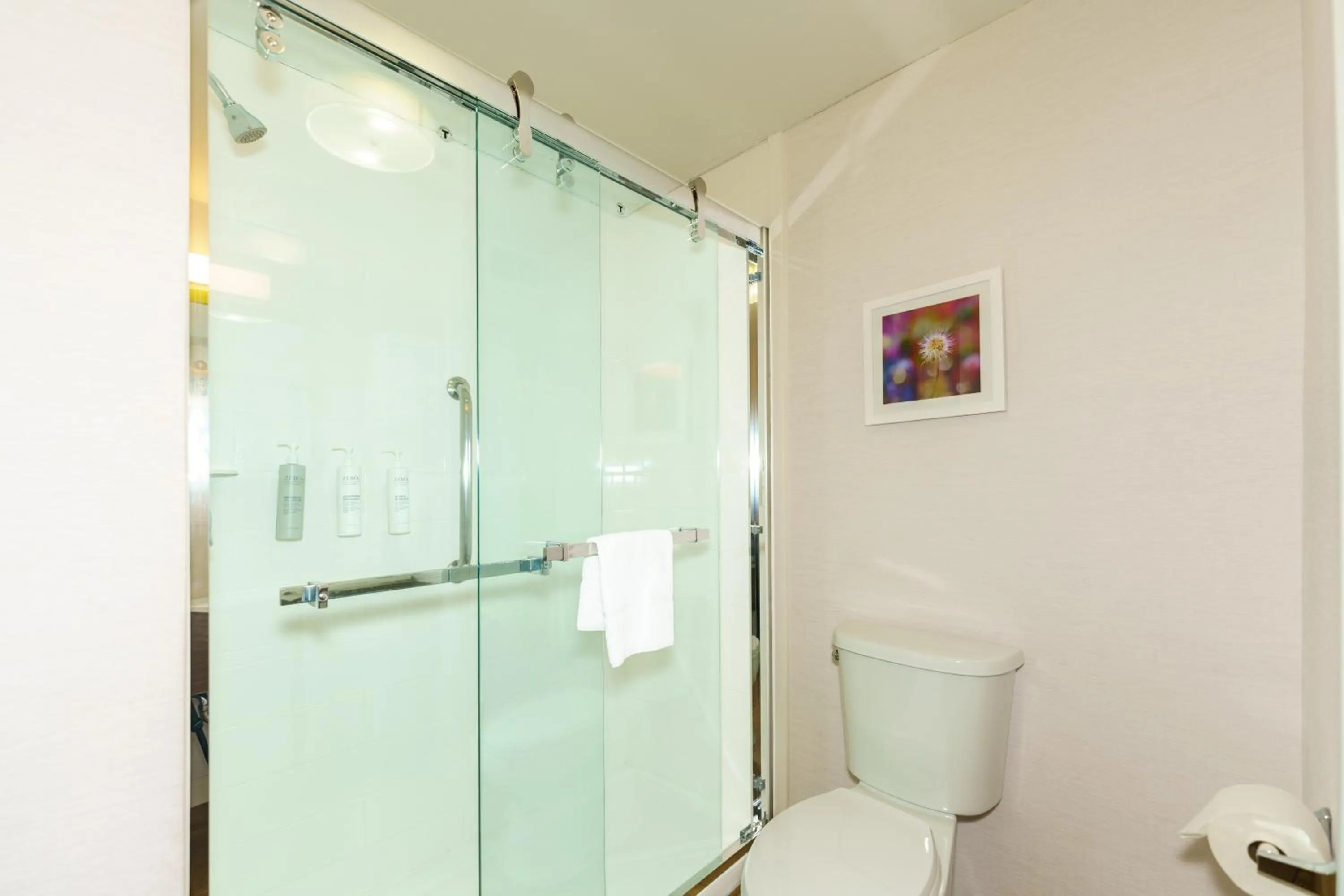 Shower in Hampton Inn Hutchinson