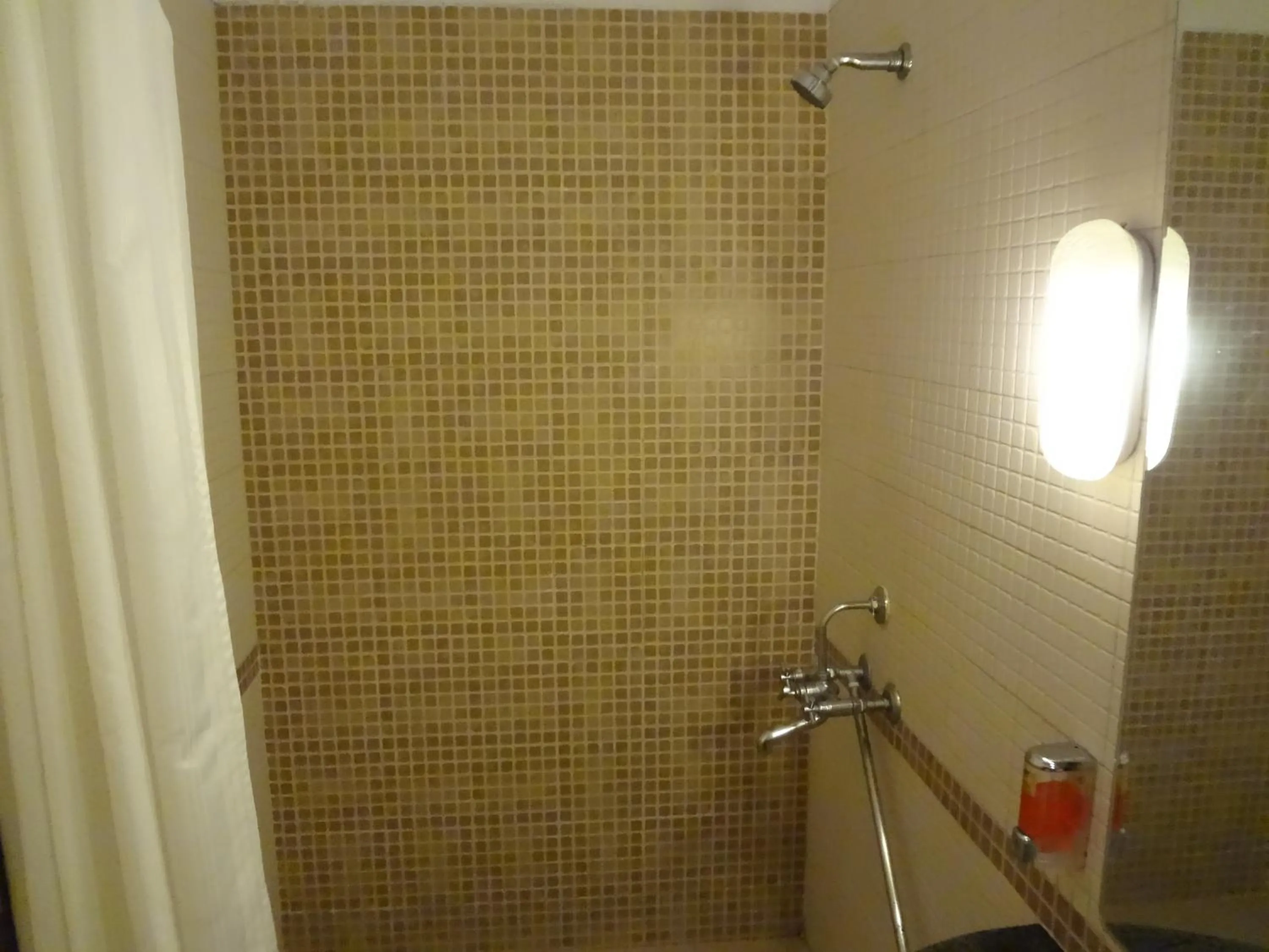 Shower in Nestor Hotel, Mumbai