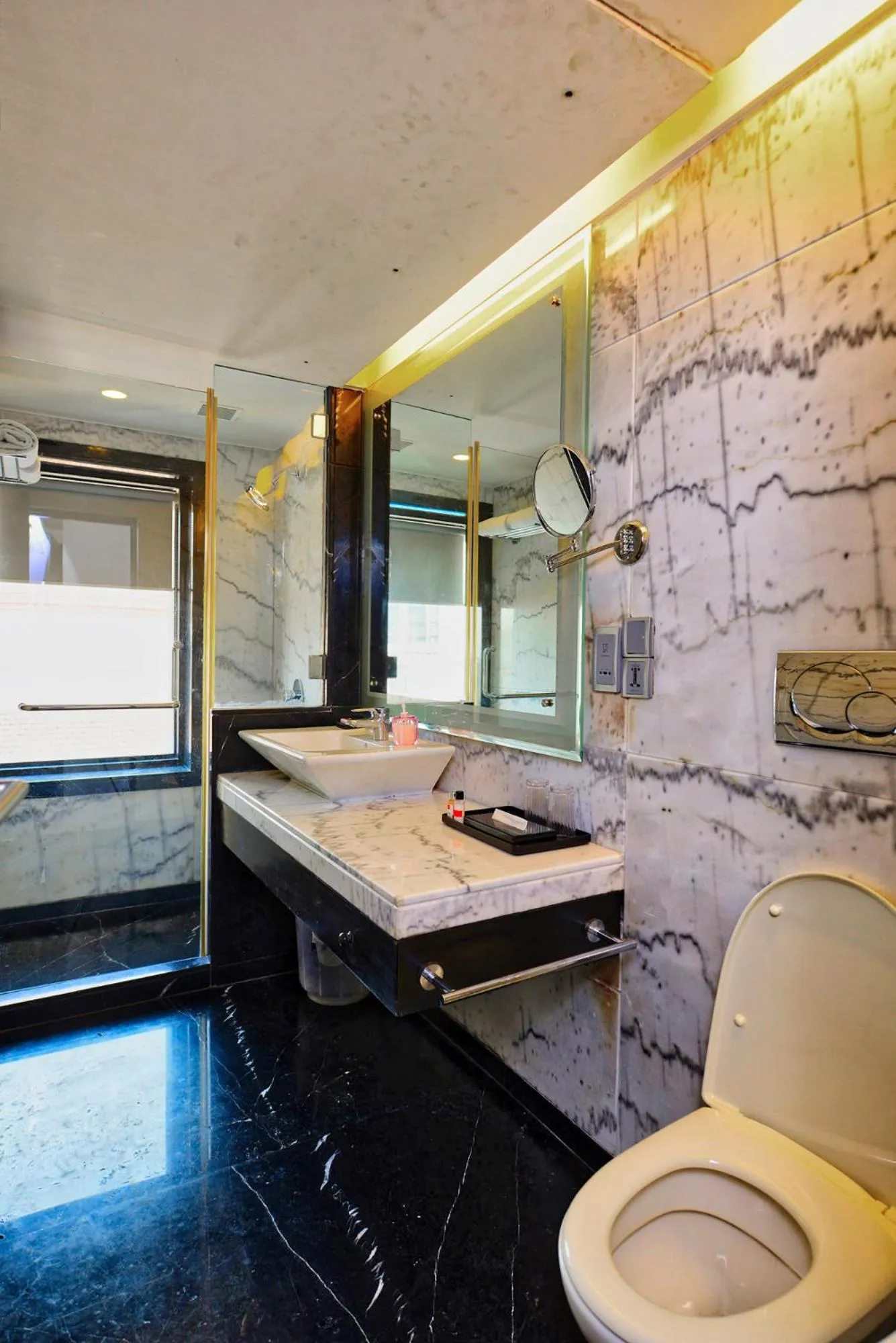 Toilet in Ginger Dona Paula, Goa