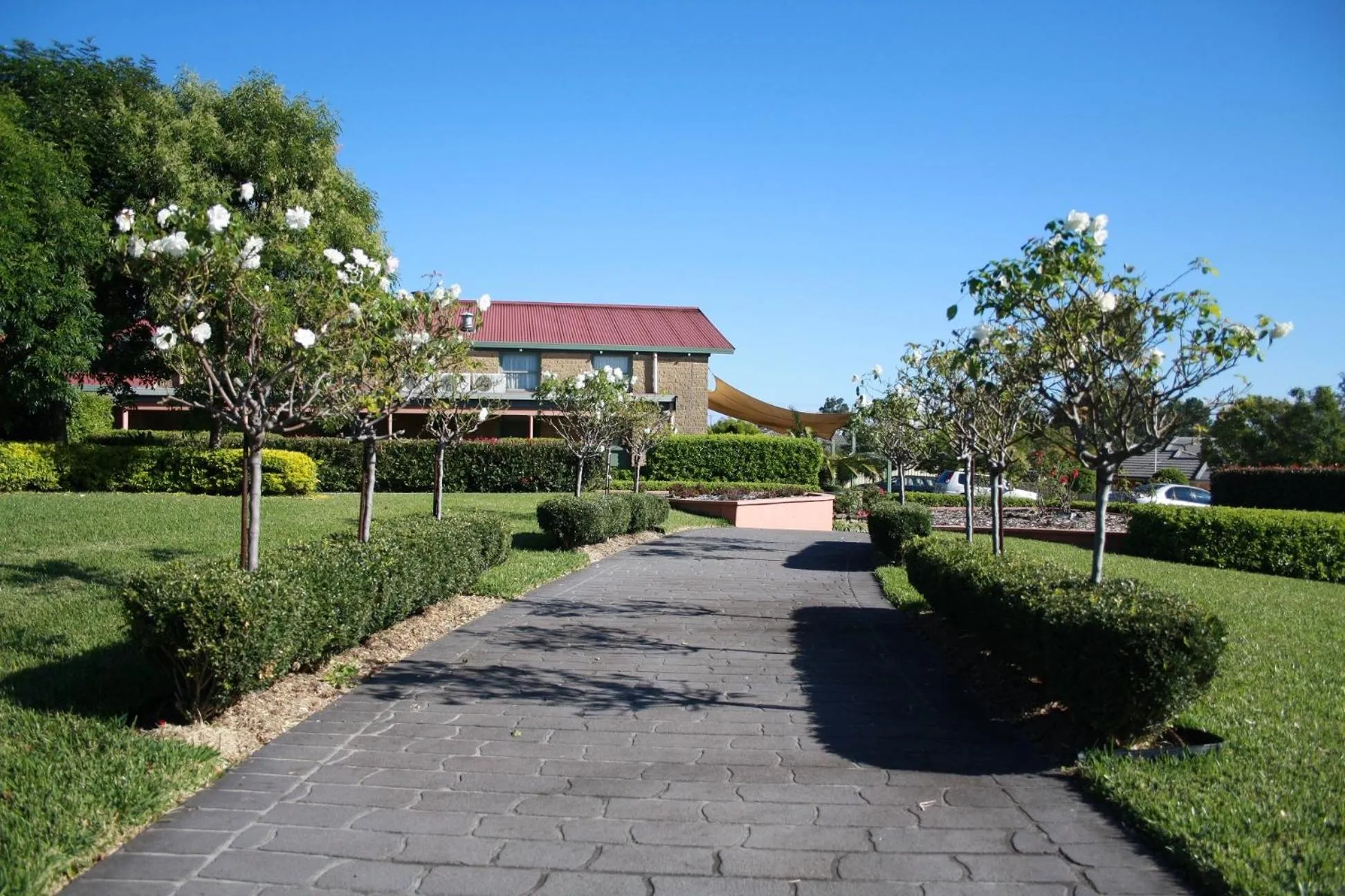 Area and facilities in Hunter Valley Travellers Rest Motel