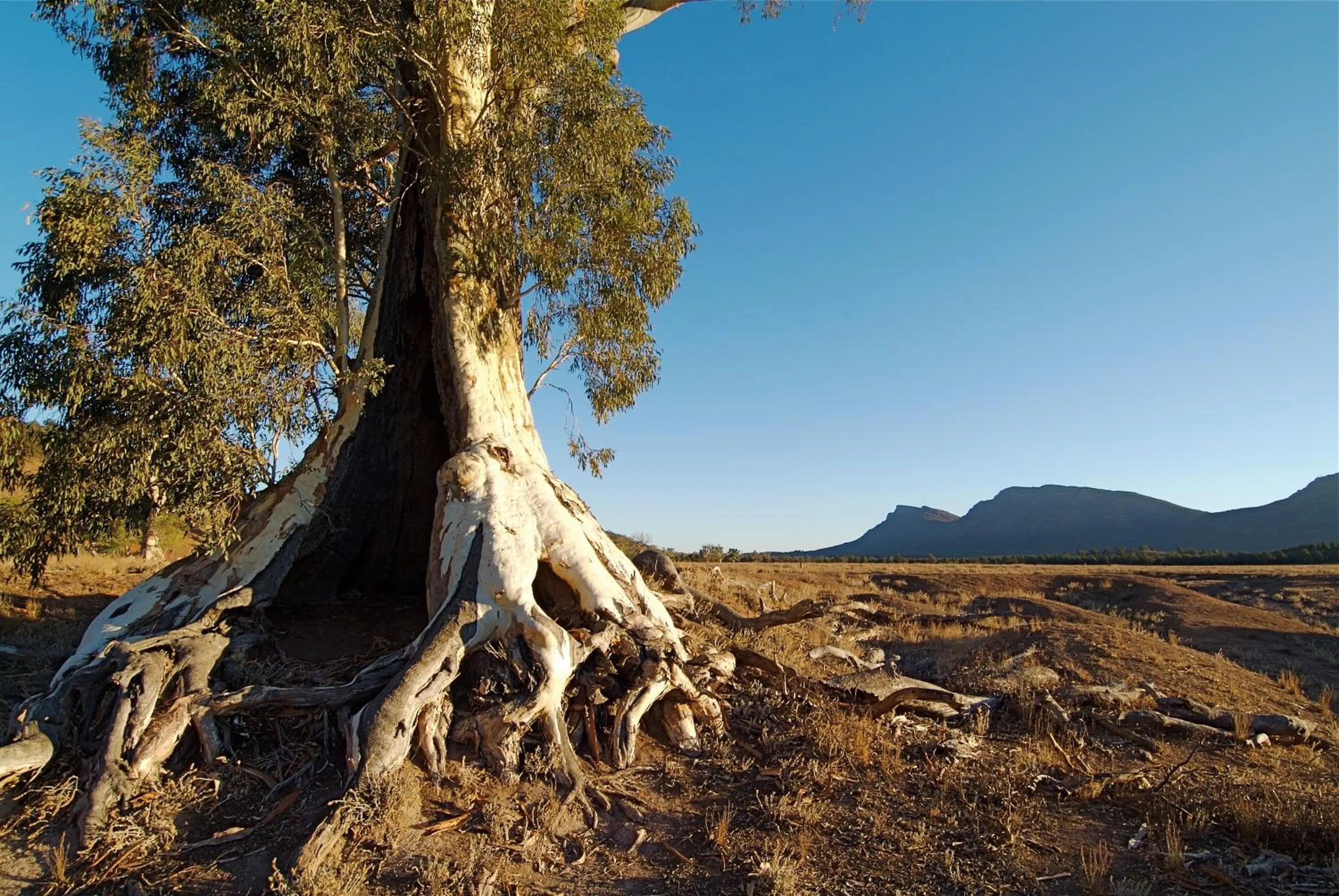 Area and facilities in Discovery Resorts - Wilpena Pound