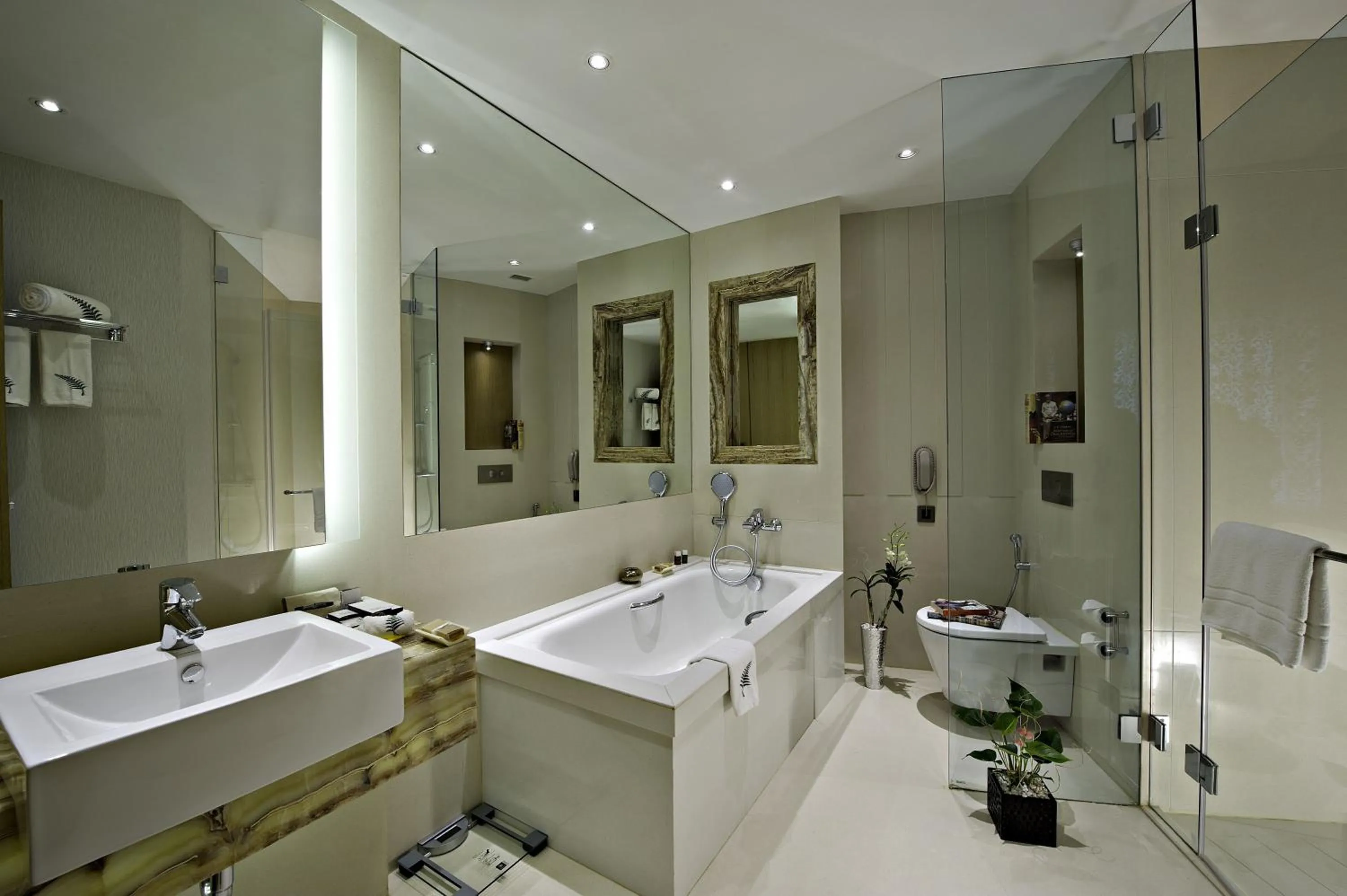 Bathroom in Meluha - The Fern